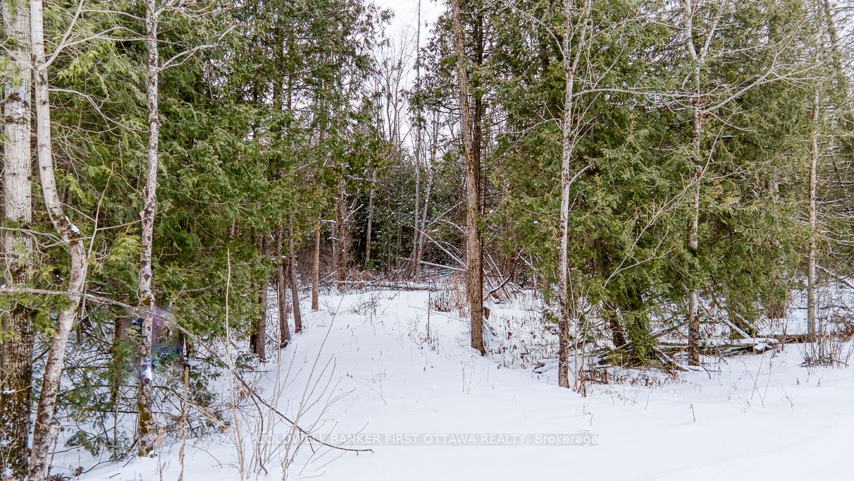 279 Brown Road Property Photo 14