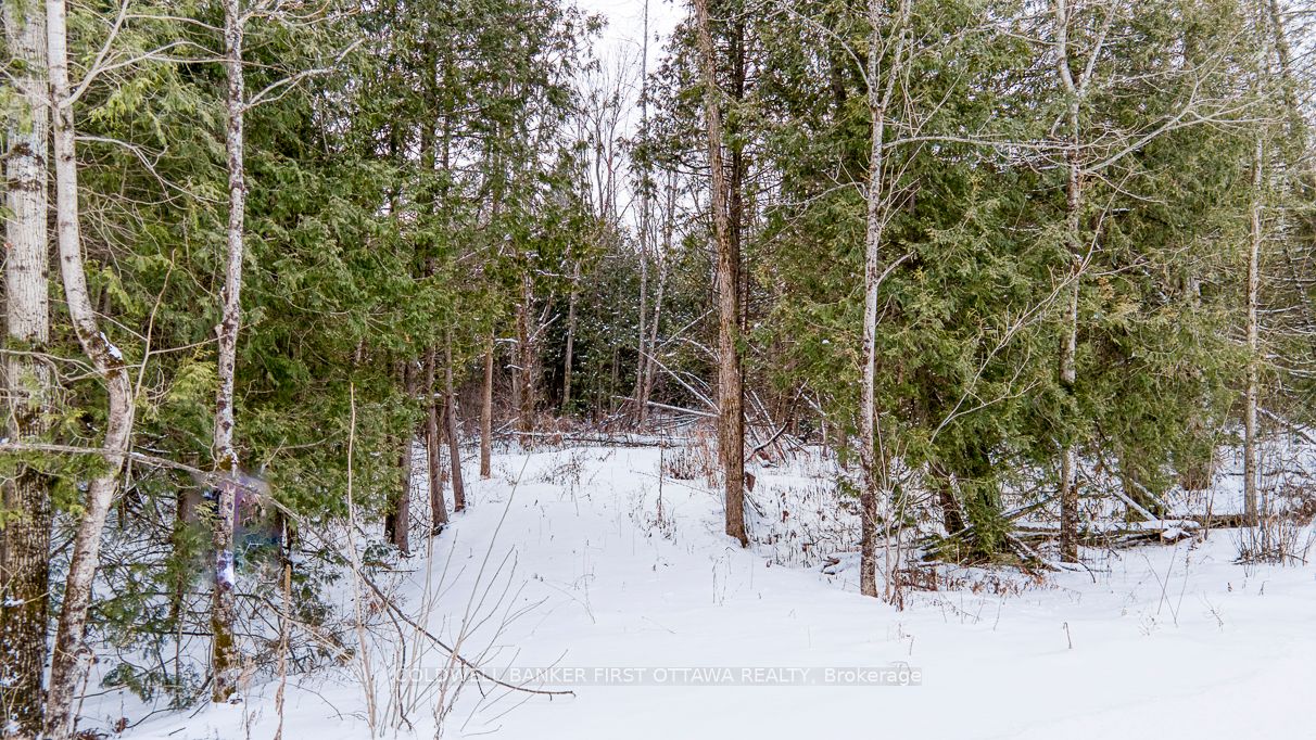 279 Brown Road Property Photo 16
