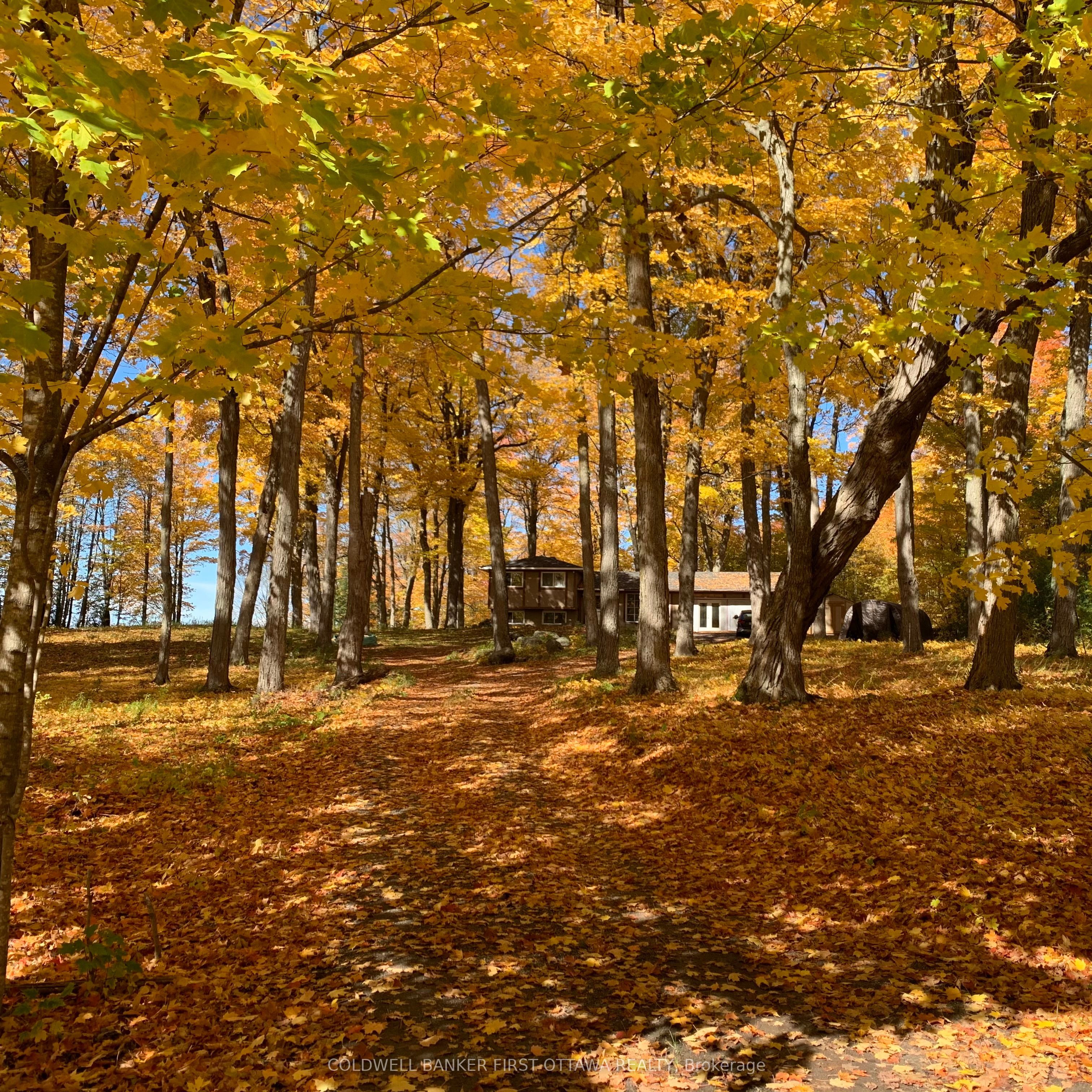 739 Scotch Corners Road Property Photo 1
