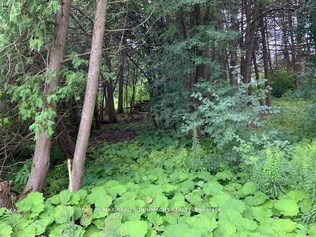 Lot 18 Northside Road Property Photo 4