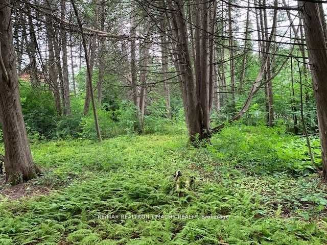 Lot 18 Northside Road Property Photo 5