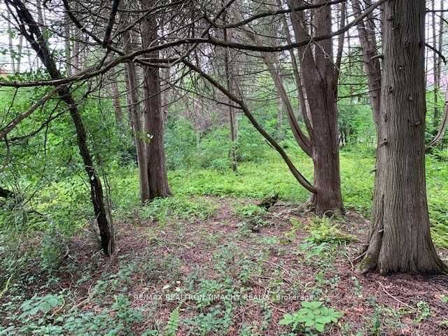Lot 18 Northside Road Property Photo 6
