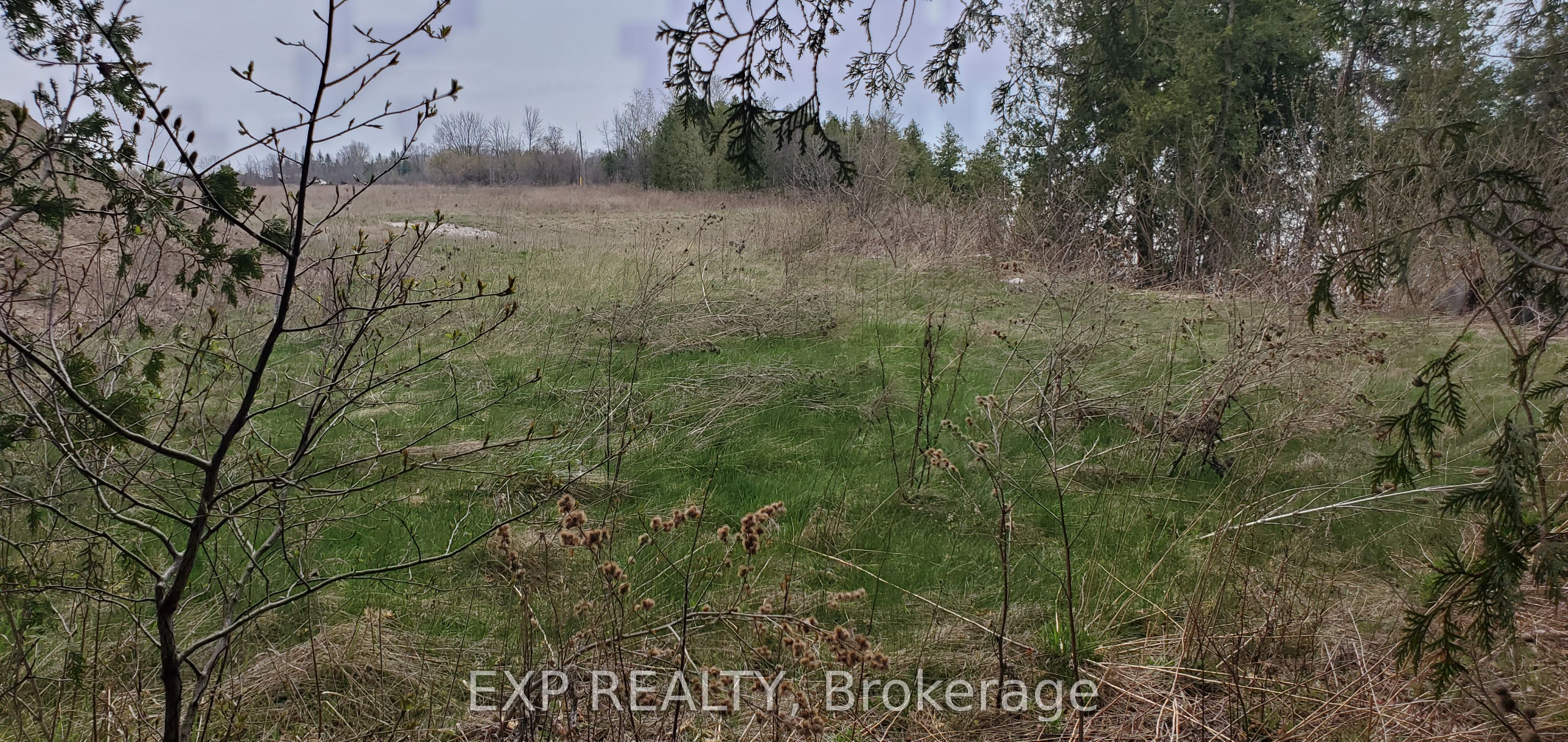 6 Irene Crescent Property Photo 8
