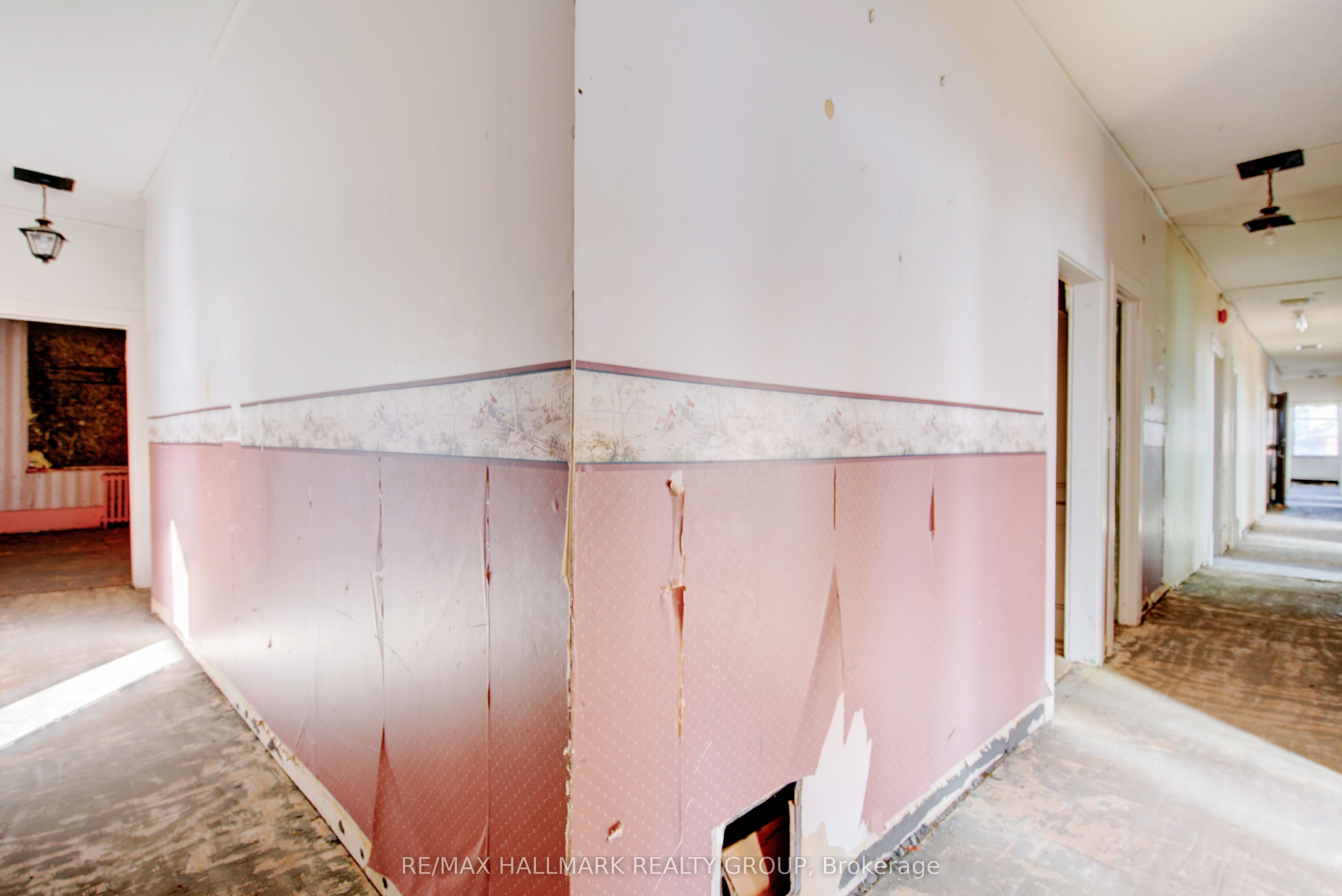 72 Daniel Street Property Photo 27