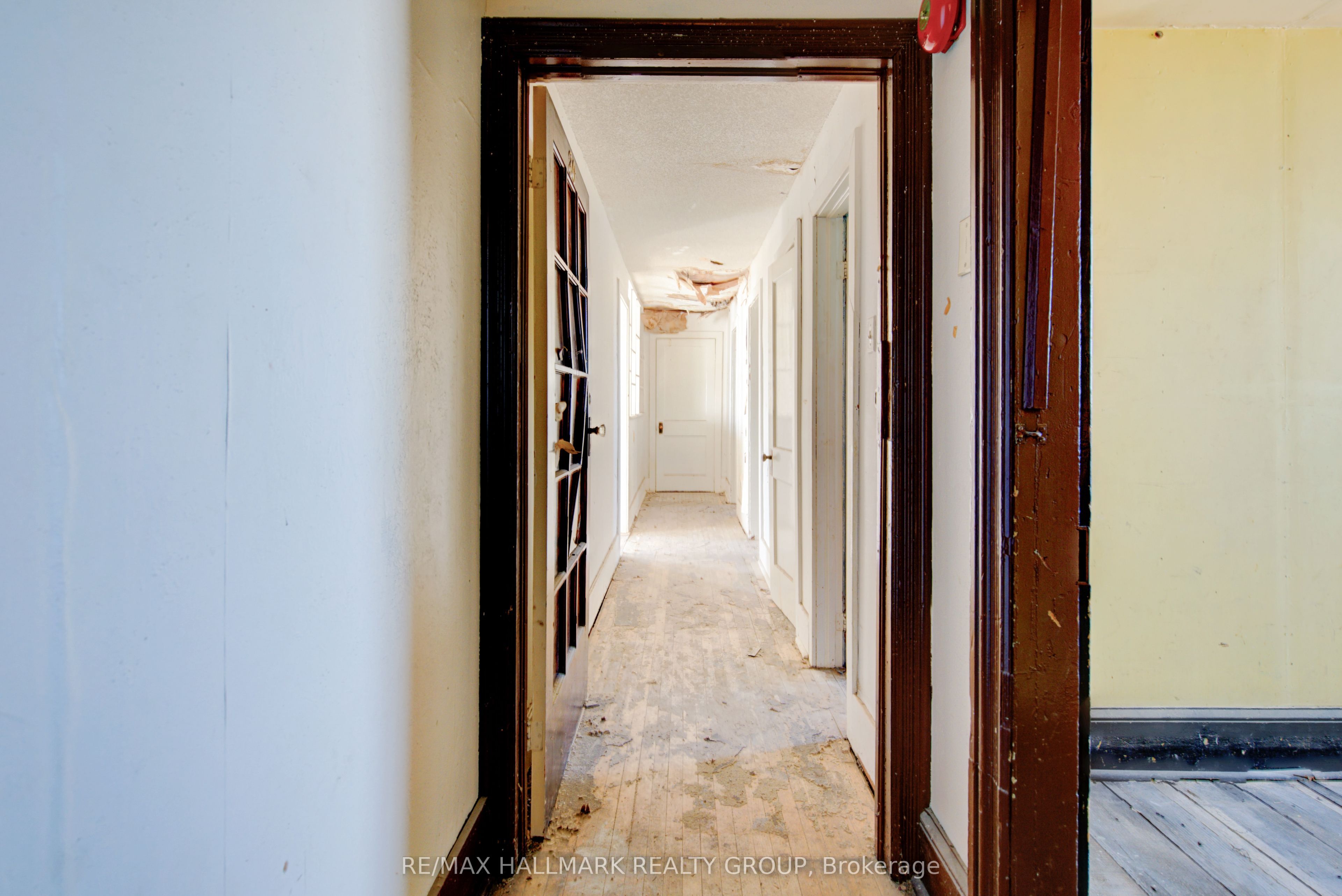 72 Daniel Street Property Photo 37