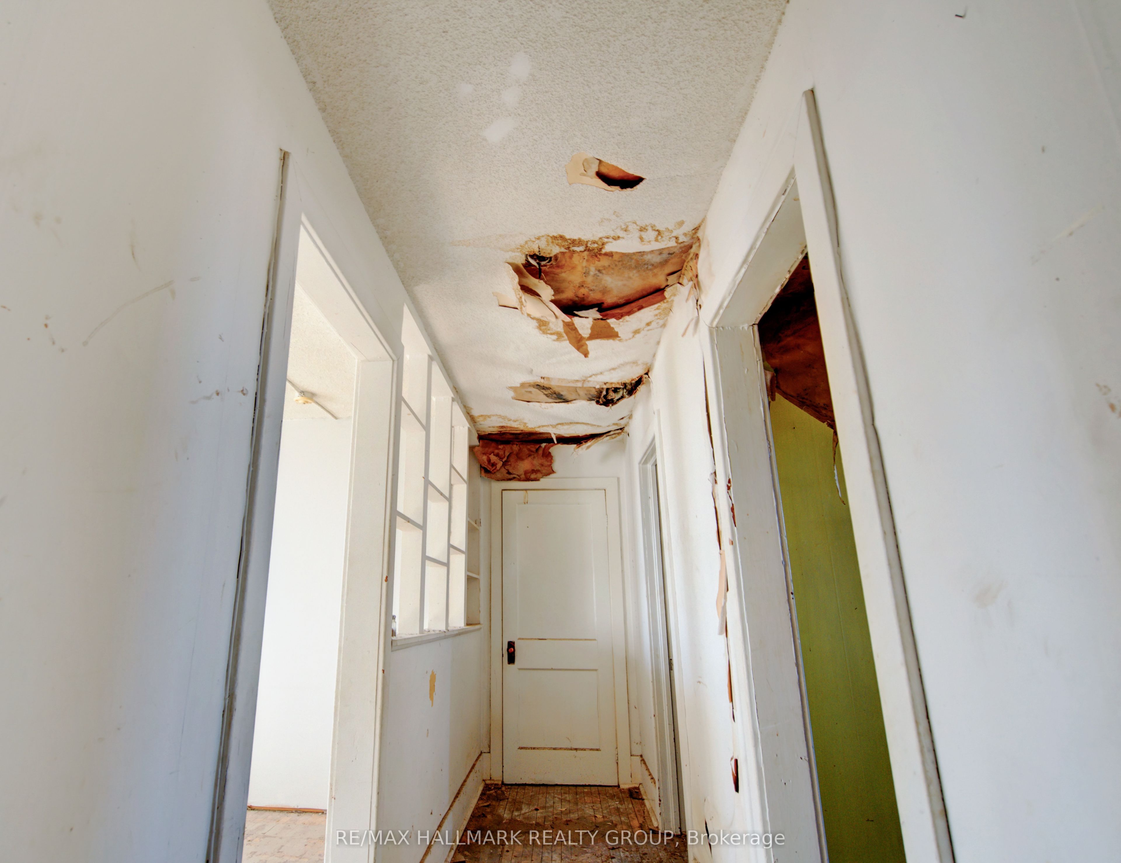 72 Daniel Street Property Photo 42