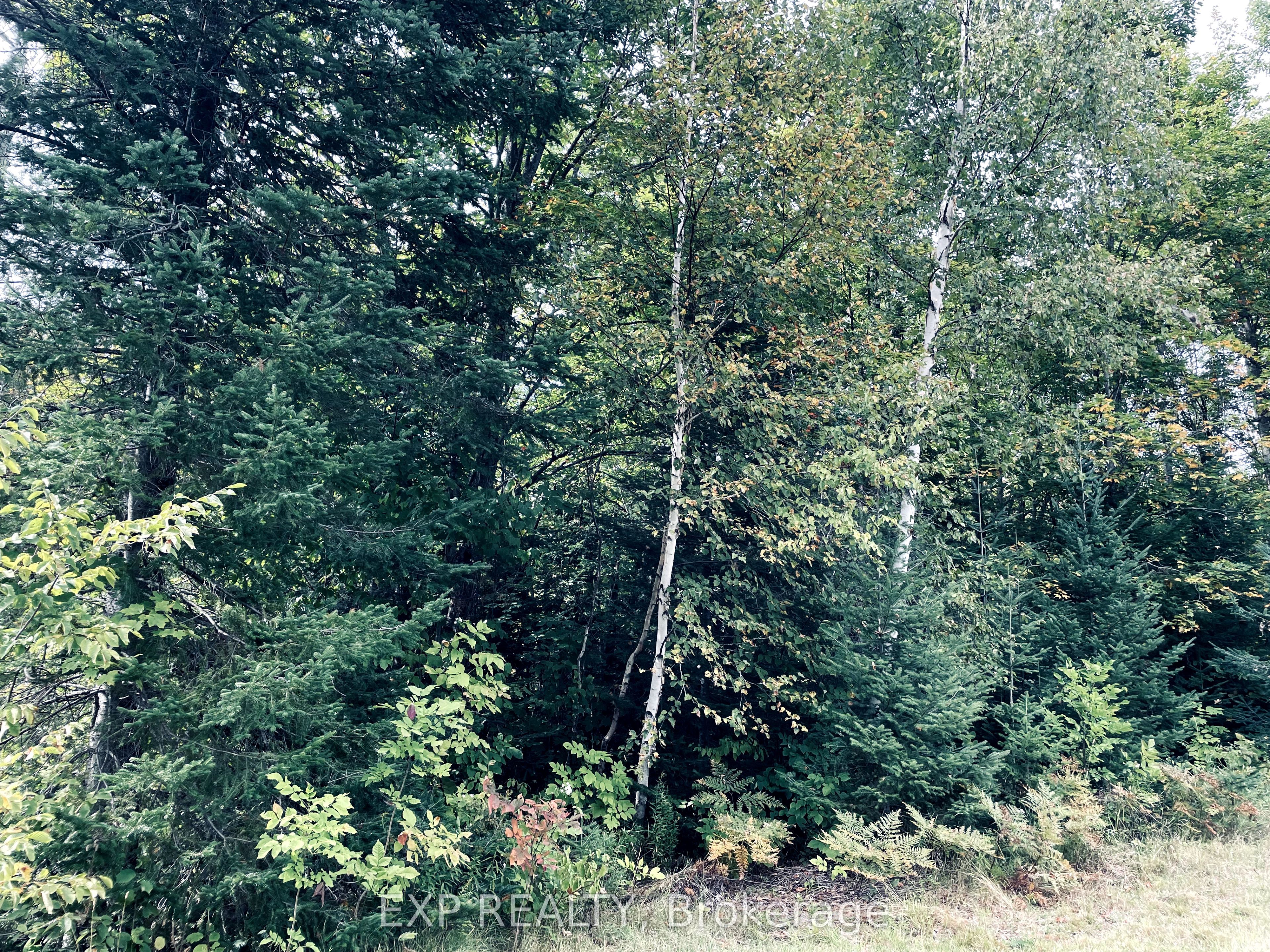 10 Paddy Road Property Photo 3