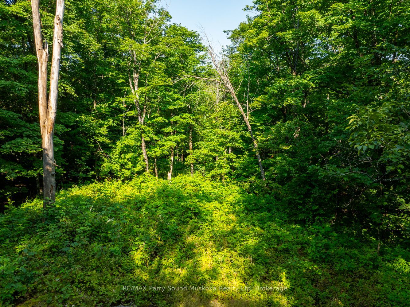 1650 Hekkla Road Property Photo 4