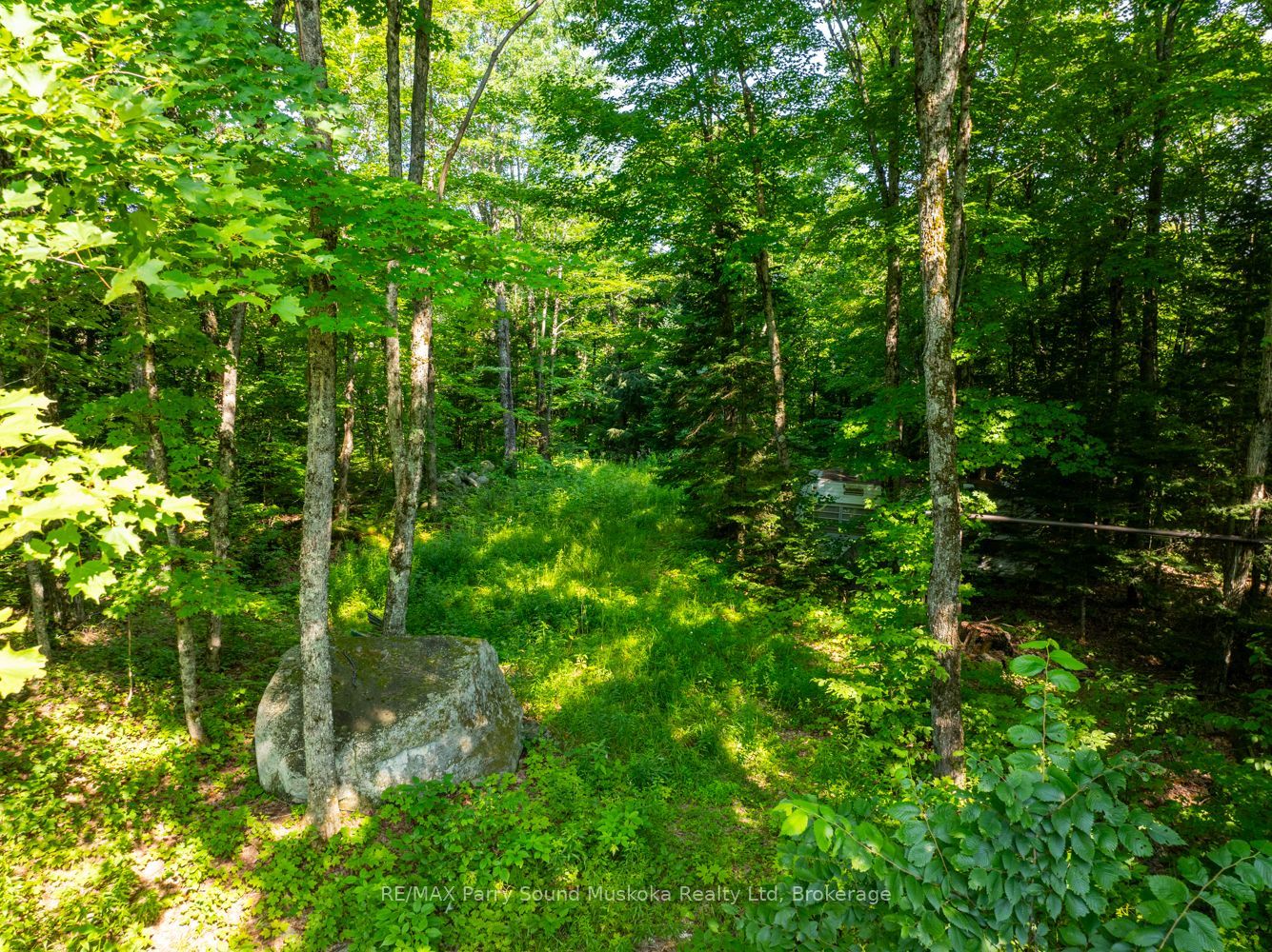 1650 Hekkla Road Property Photo 6