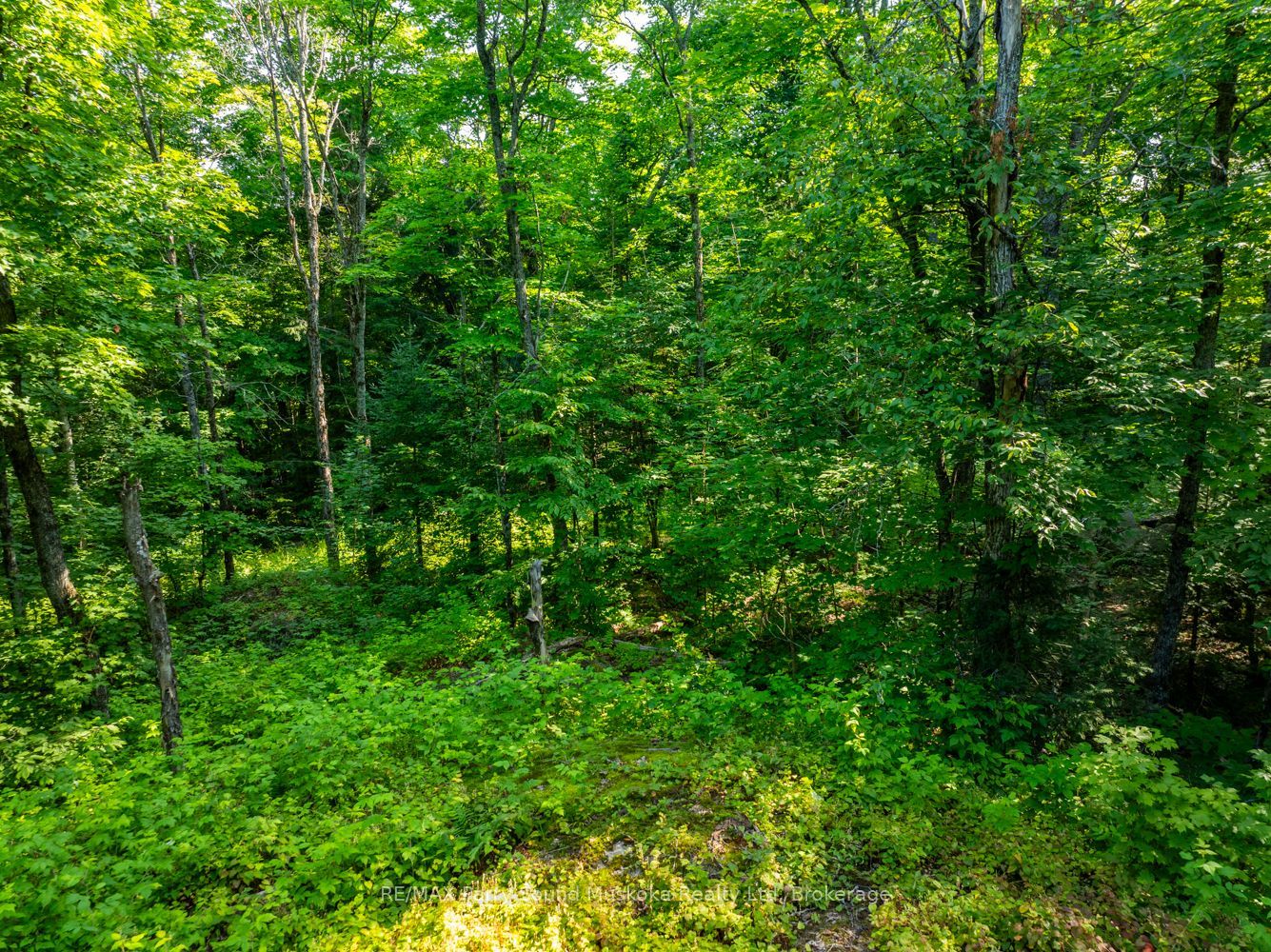 1650 Hekkla Road Property Photo 8
