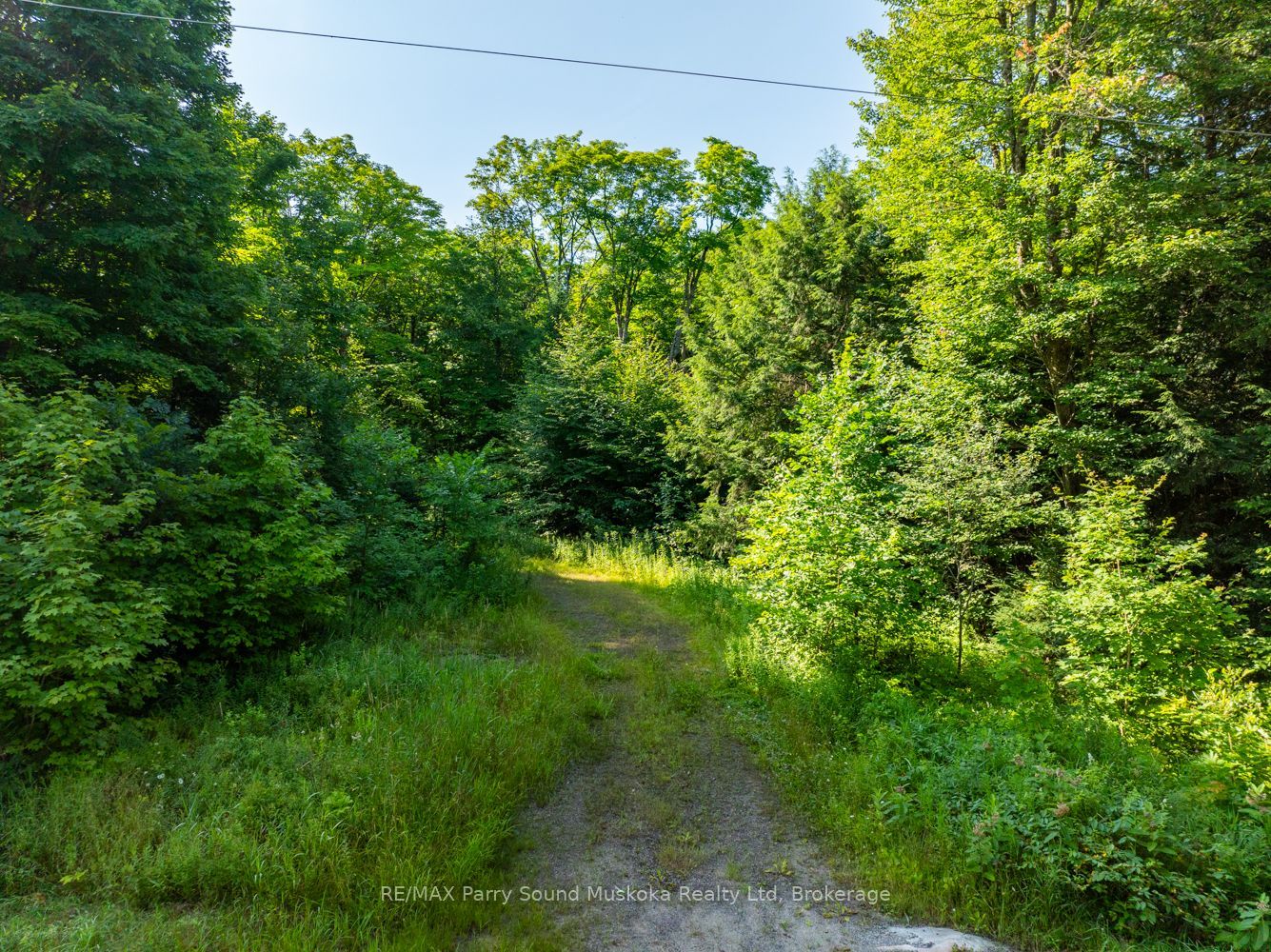 1650 Hekkla Road Property Photo 10