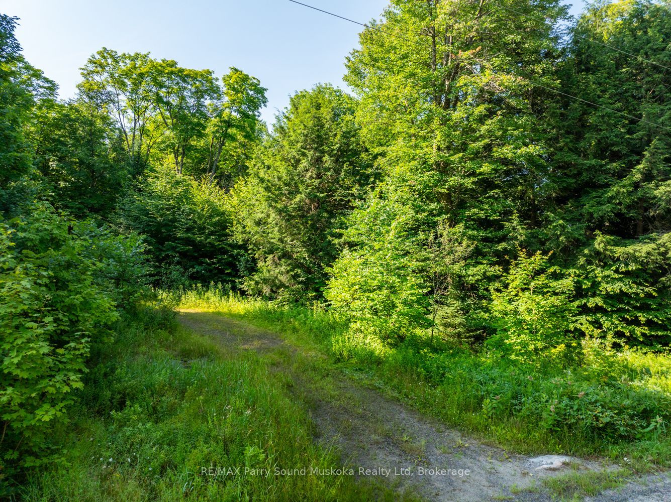 1650 Hekkla Road Property Photo 11