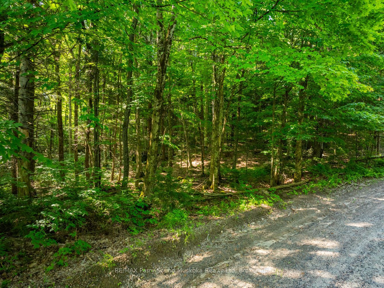 1650 Hekkla Road Property Photo 14