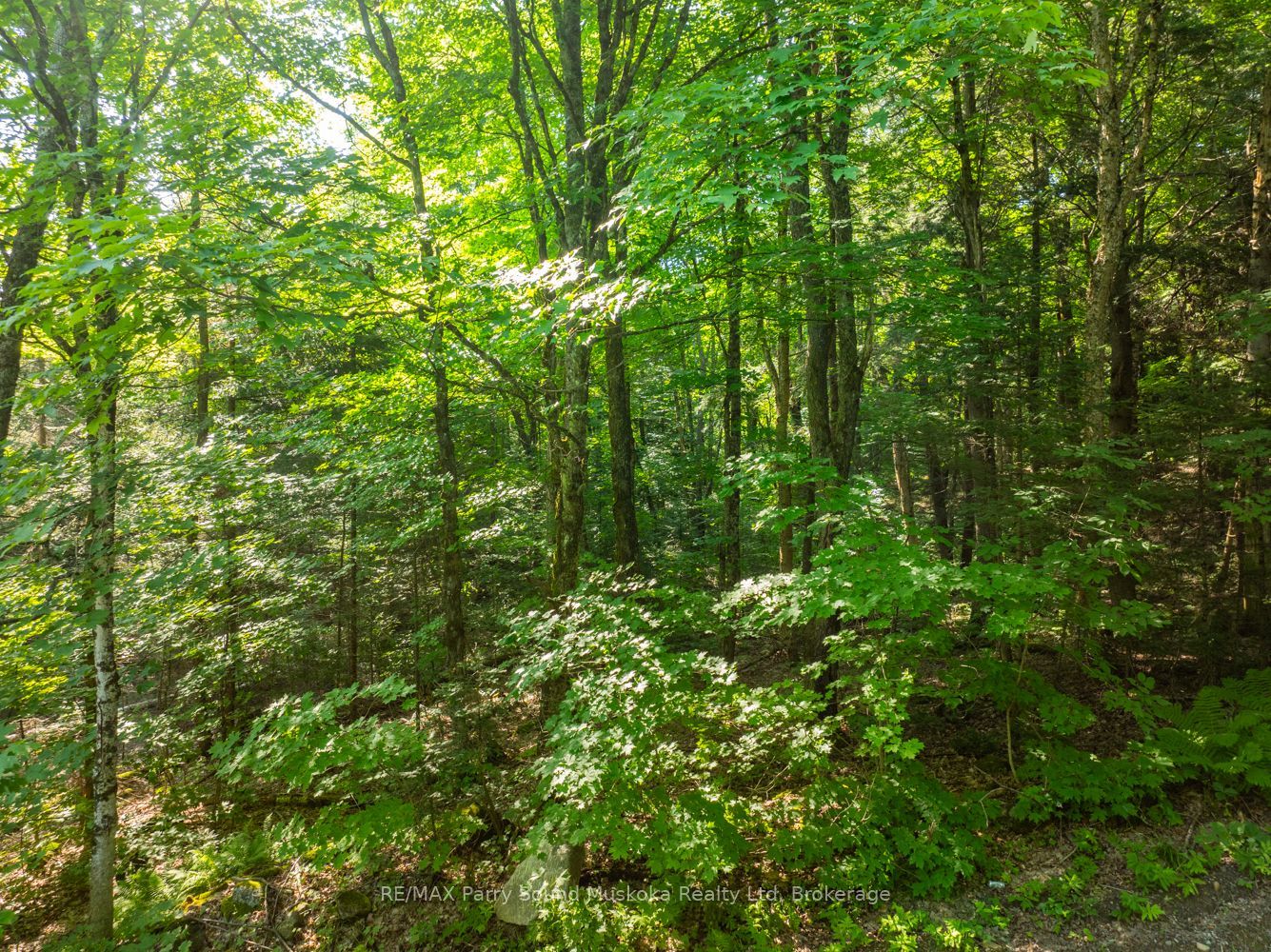1650 Hekkla Road Property Photo 15