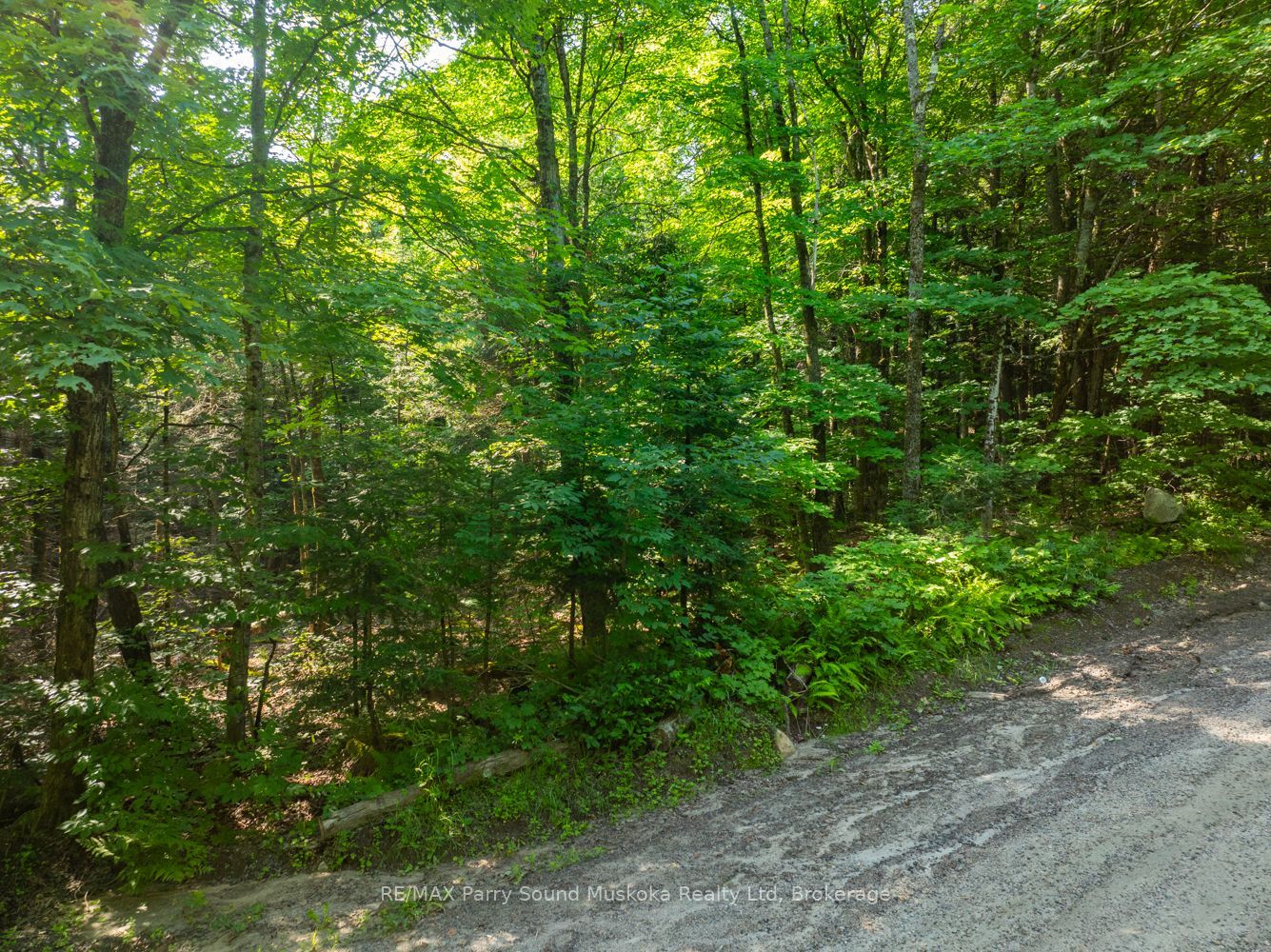 1650 Hekkla Road Property Photo 16