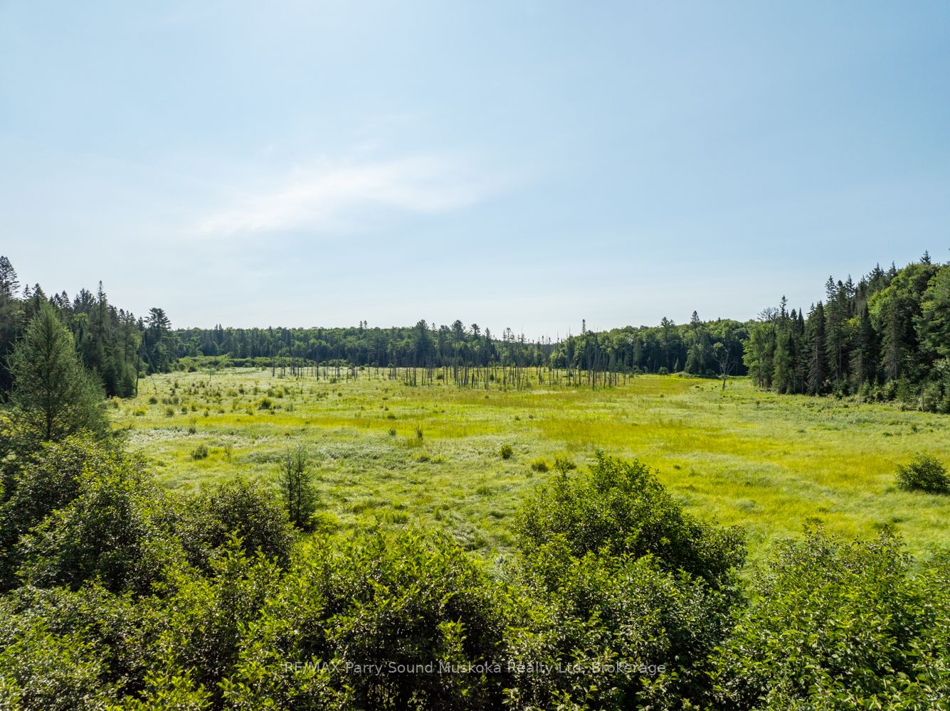 1650 Hekkla Road Property Photo 18