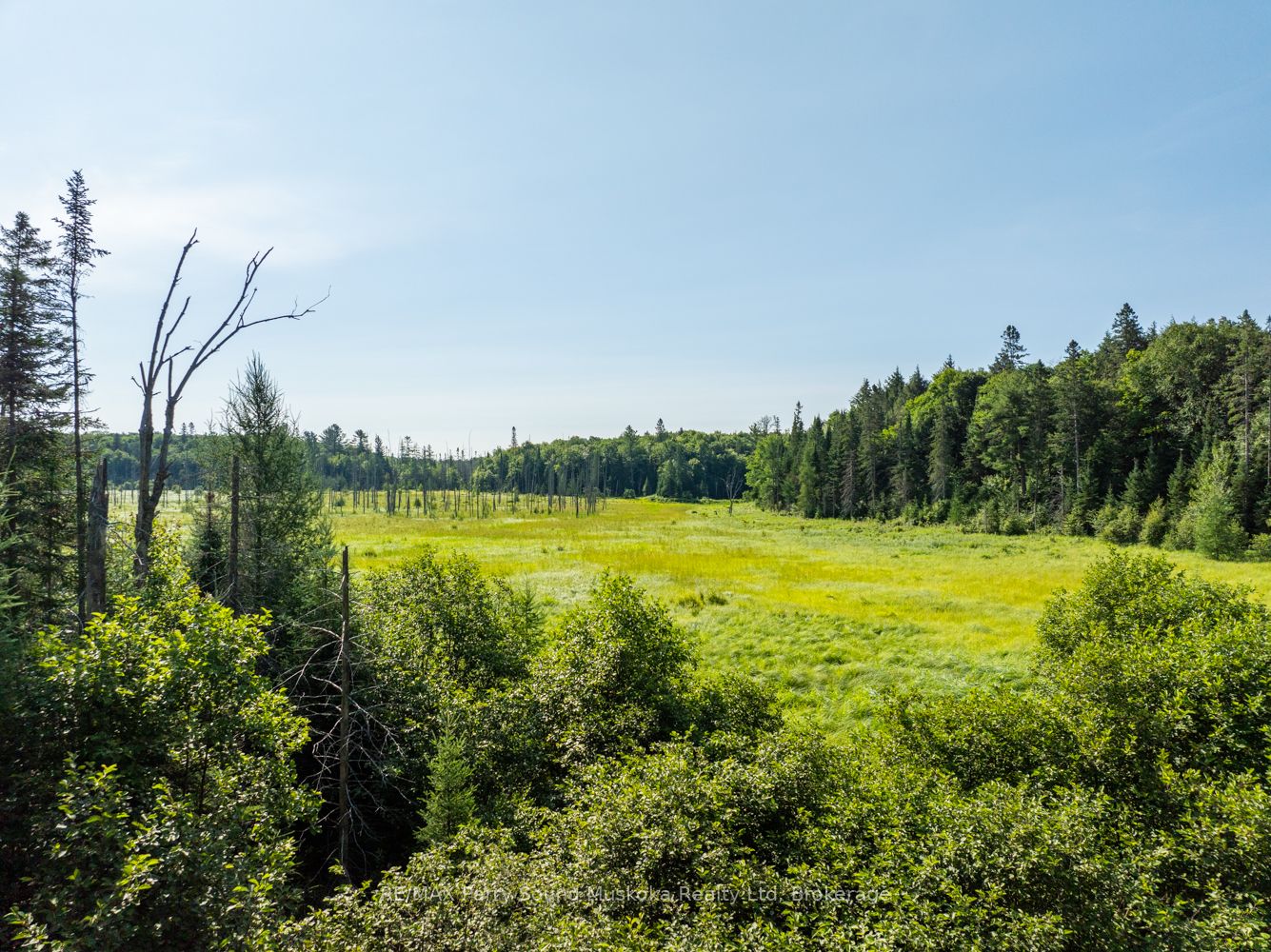 1650 Hekkla Road Property Photo 20