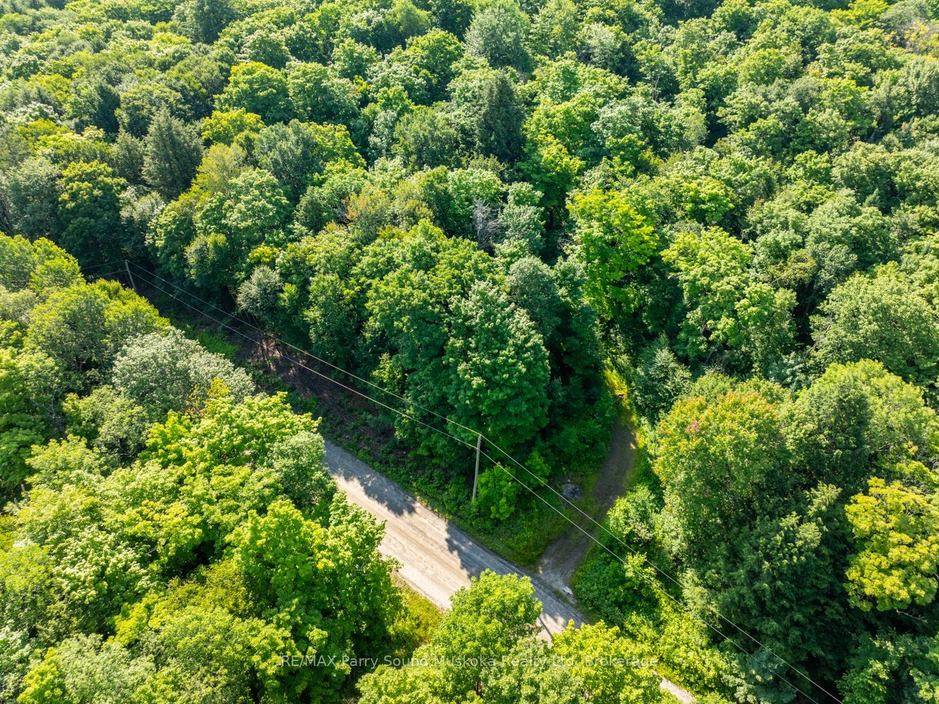 1650 Hekkla Road Property Photo 34
