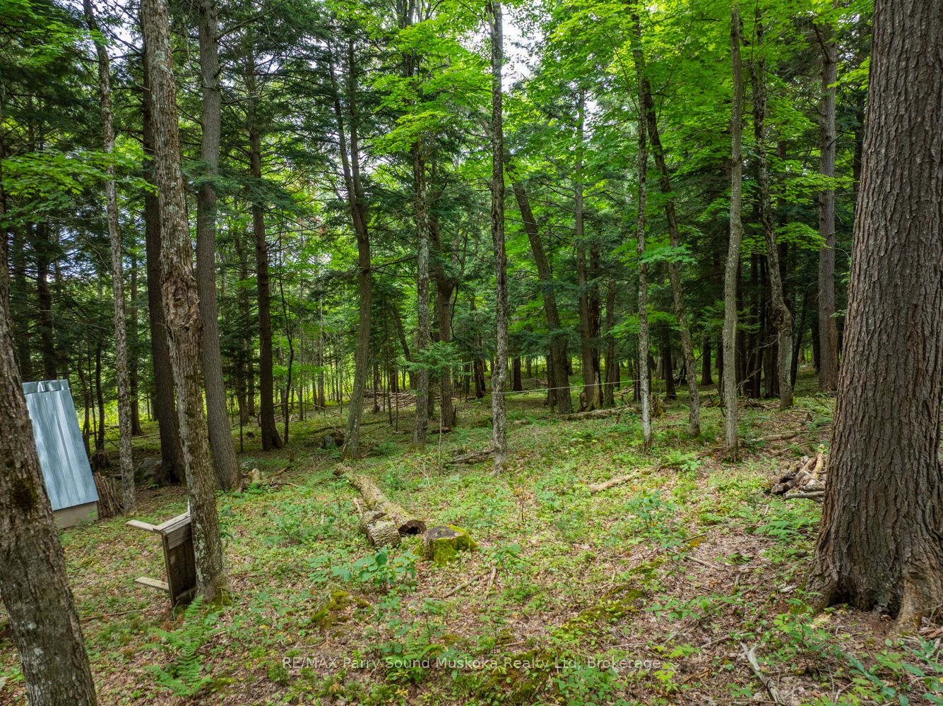 131 Moonwing Road Property Photo 6