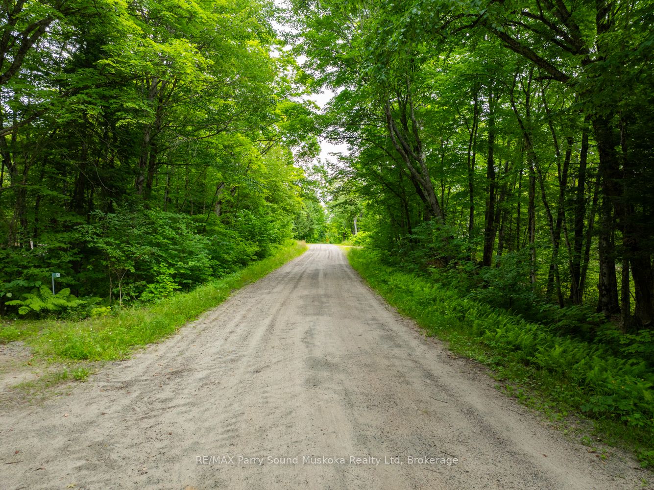 131 Moonwing Road Property Photo 11