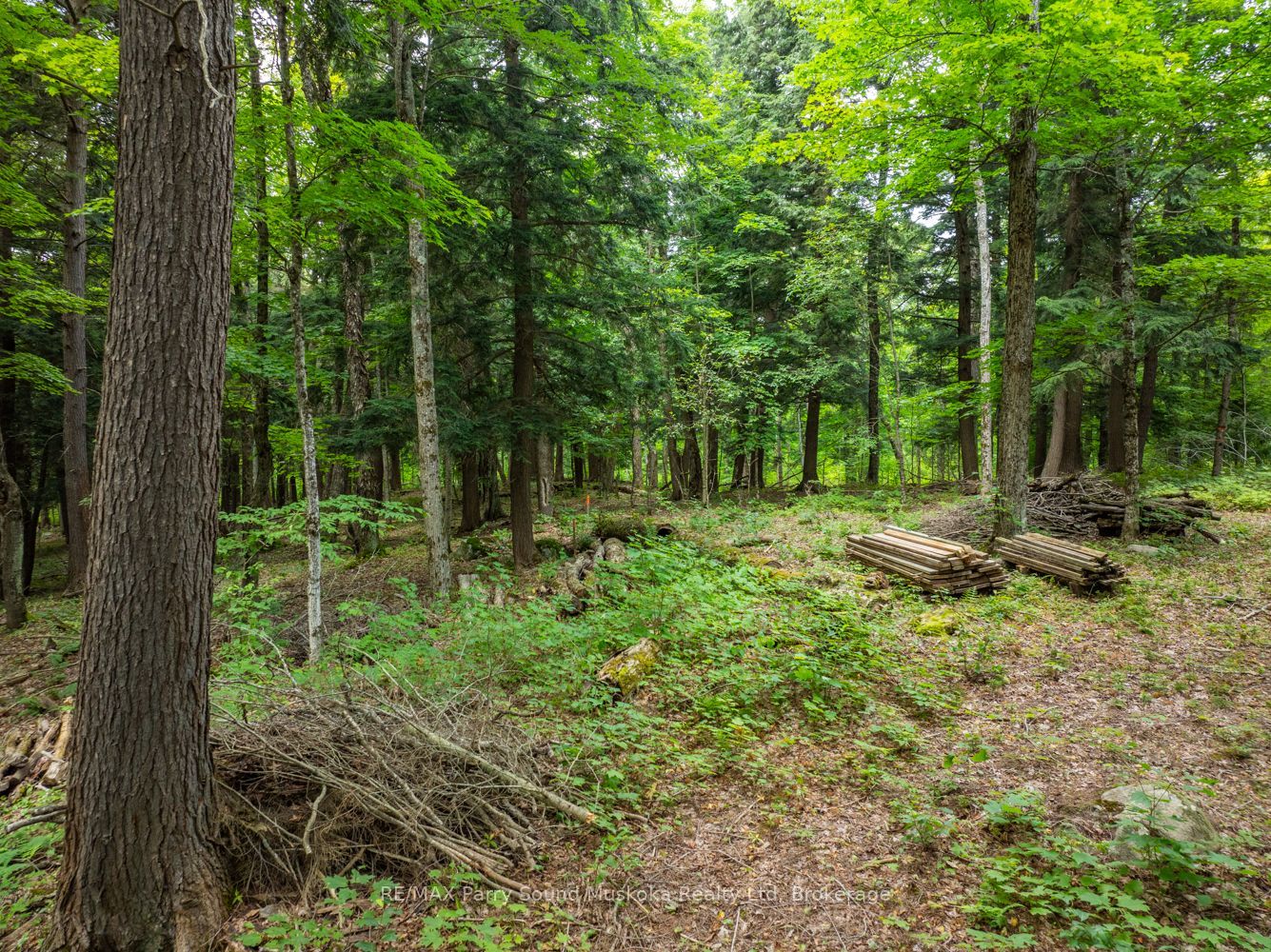 131 Moonwing Road Property Photo 17