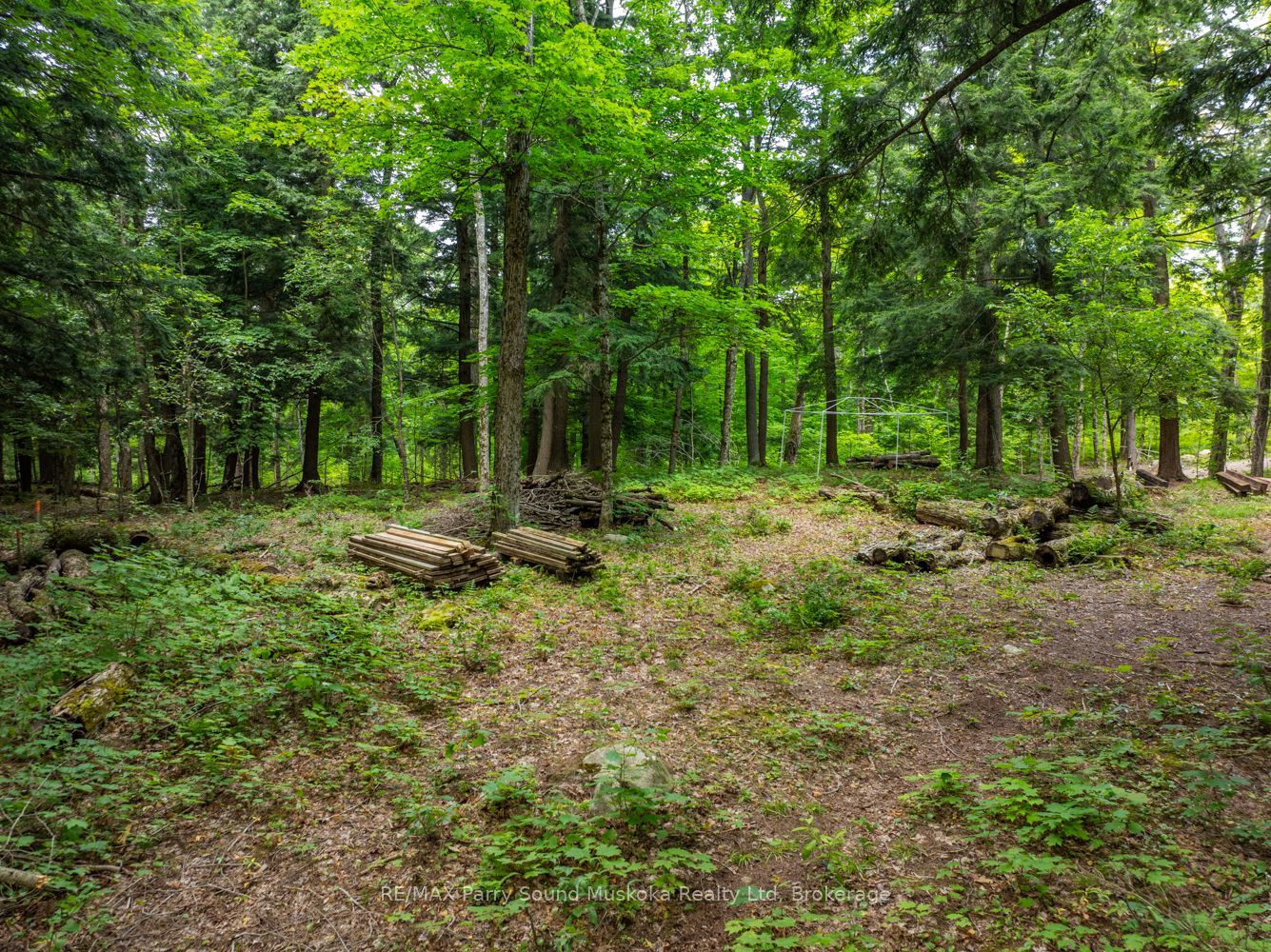 131 Moonwing Road Property Photo 18
