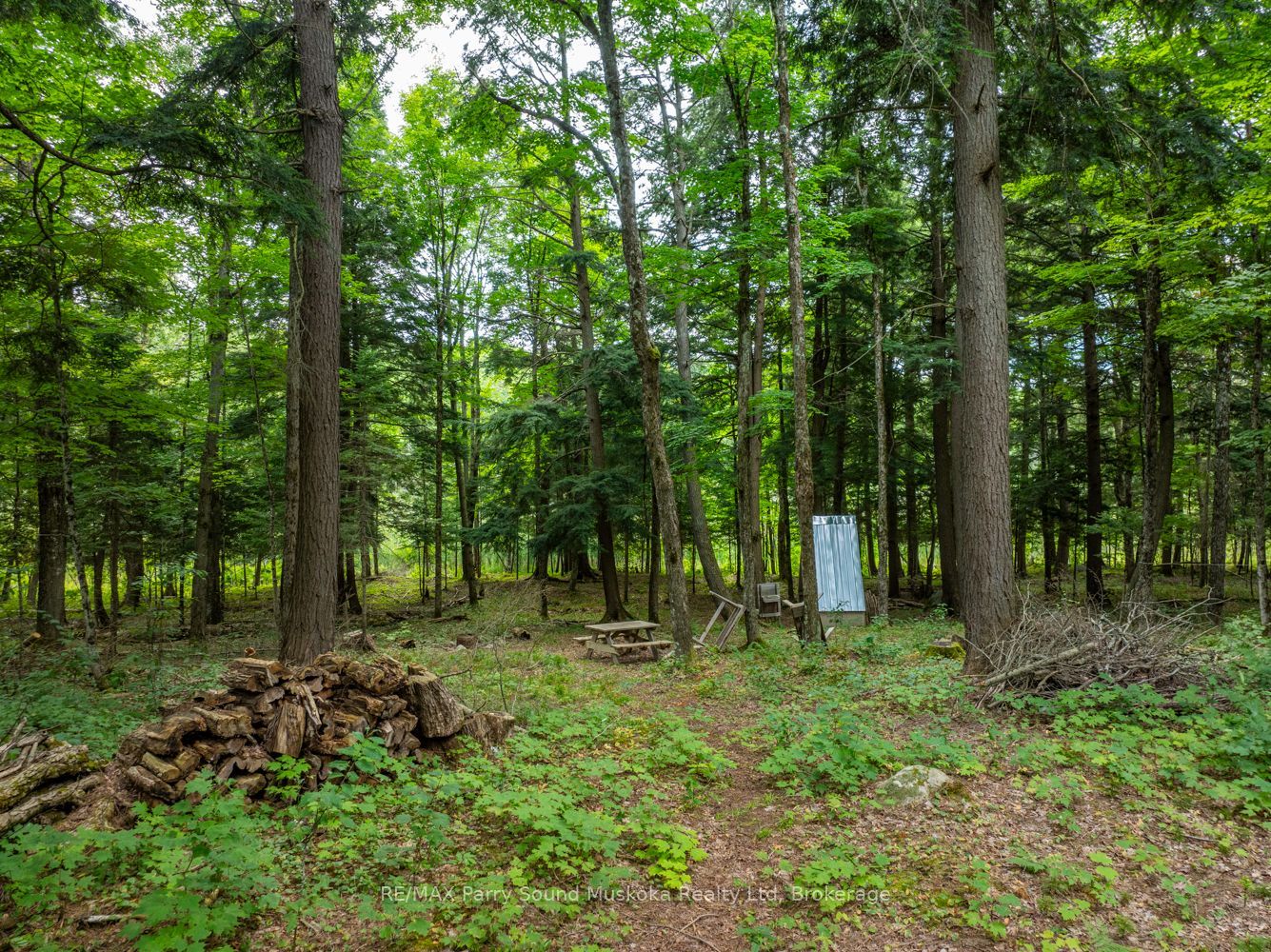131 Moonwing Road Property Photo 19