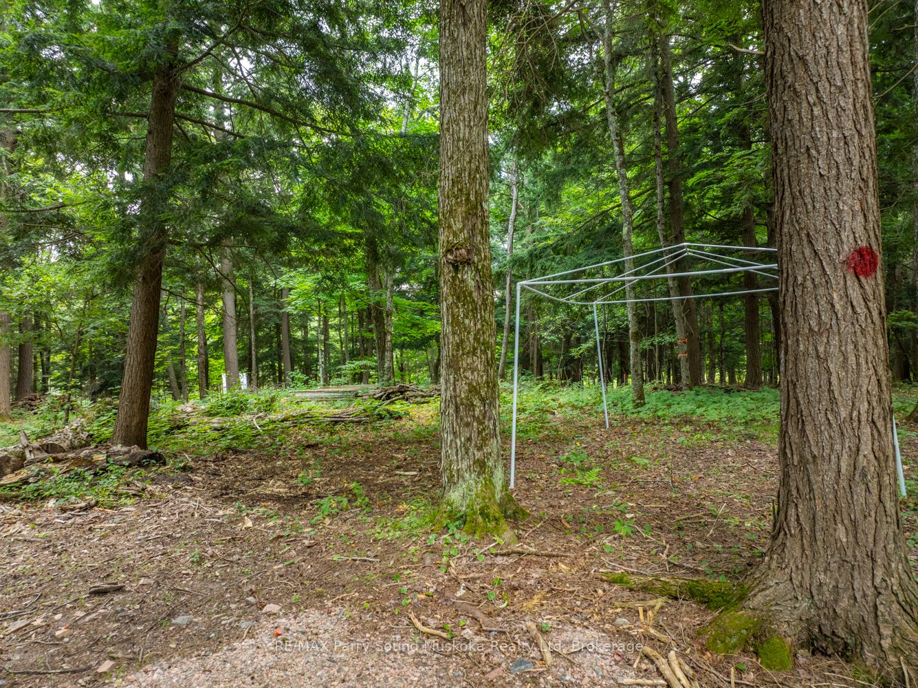 131 Moonwing Road Property Photo 20