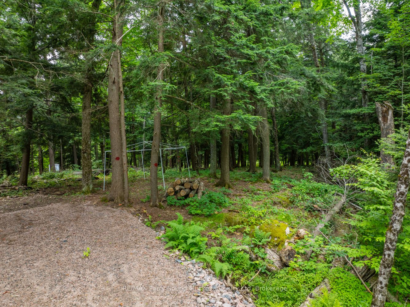 131 Moonwing Road Property Photo 21