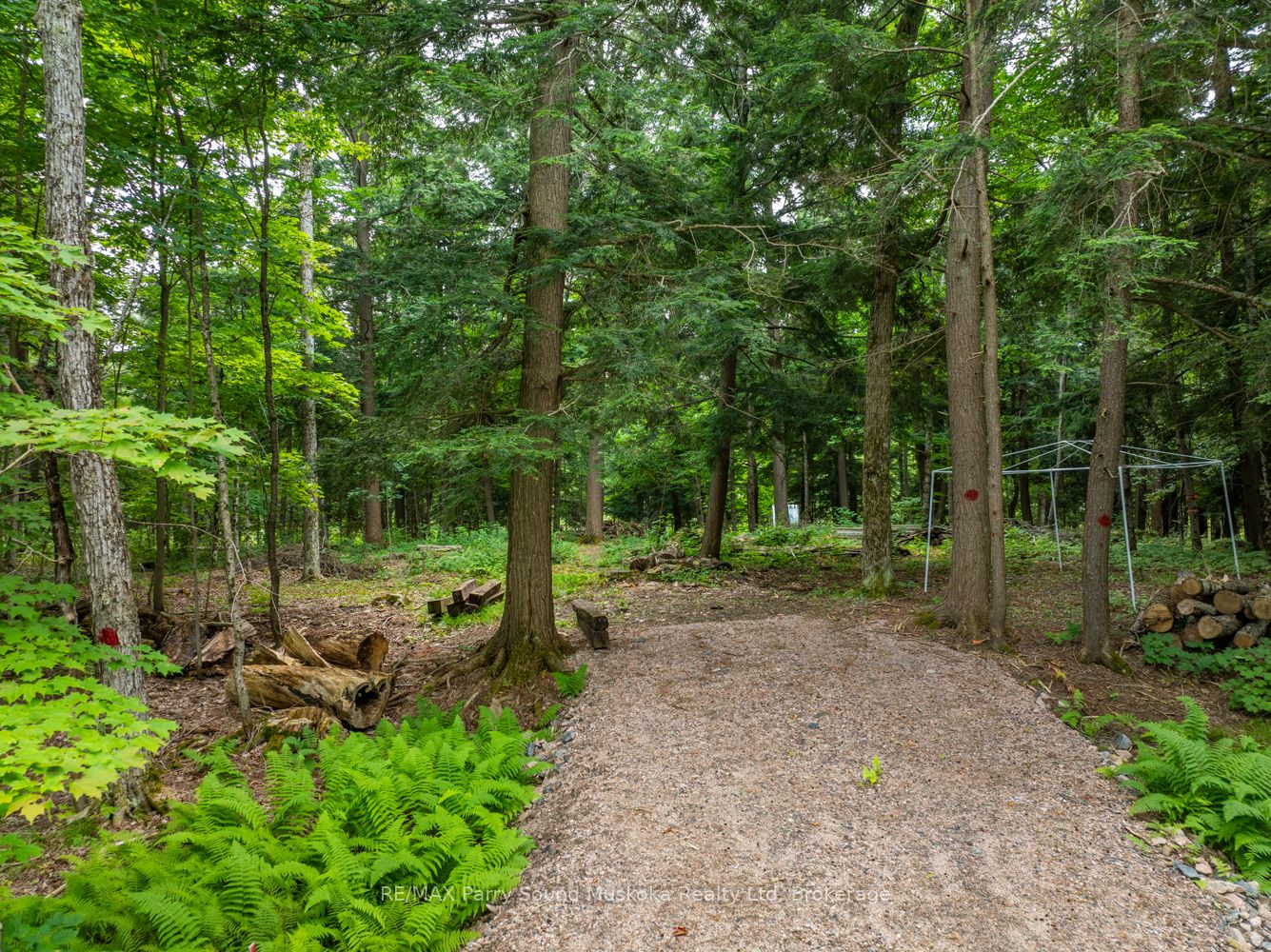 131 Moonwing Road Property Photo 22