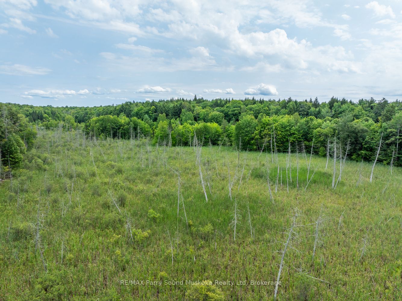 131 Moonwing Road Property Photo 31