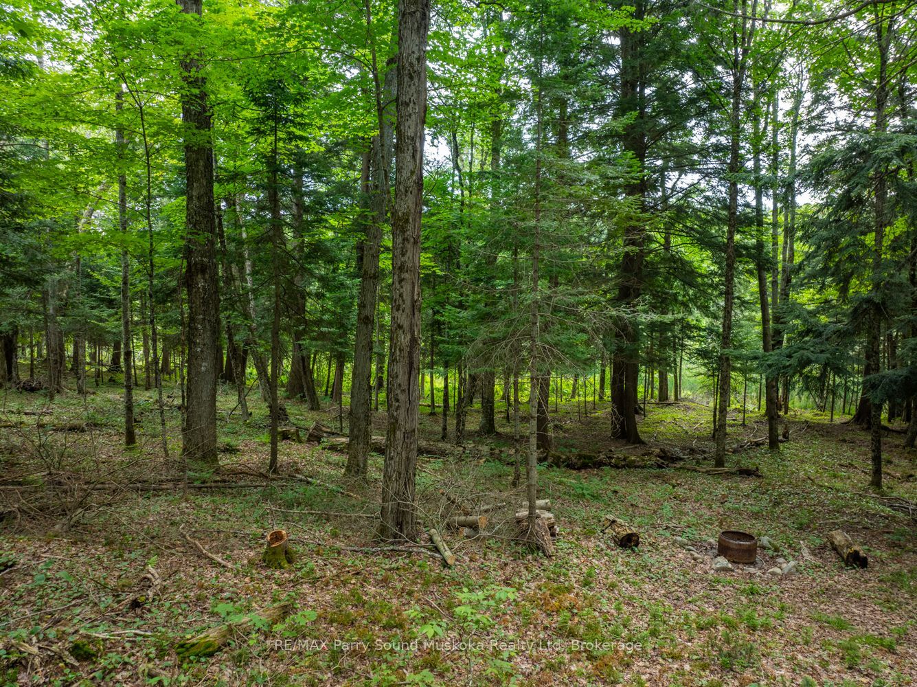 131 Moonwing Road Property Photo 33