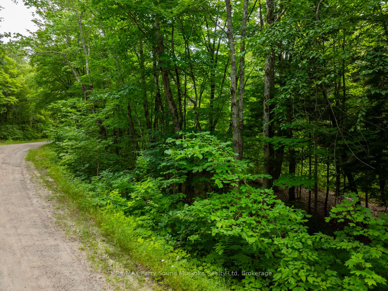 131 Moonwing Road Property Photo 35