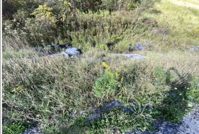 Pt Con 5 Pt Lot 5 Road Property Photo 3