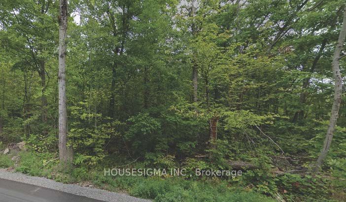 Pt Lt 8 Marble Point Road Property Photo 1