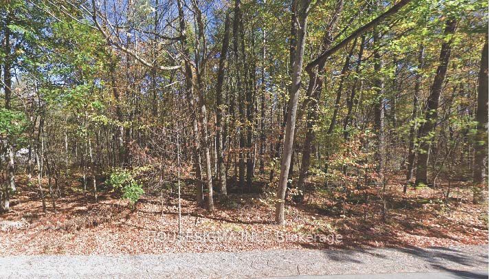 Pt Lt 8 Marble Point Road Property Photo 6