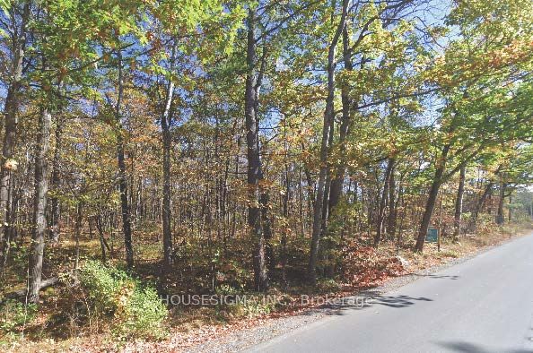 Pt Lt 8 Marble Point Road Property Photo 7