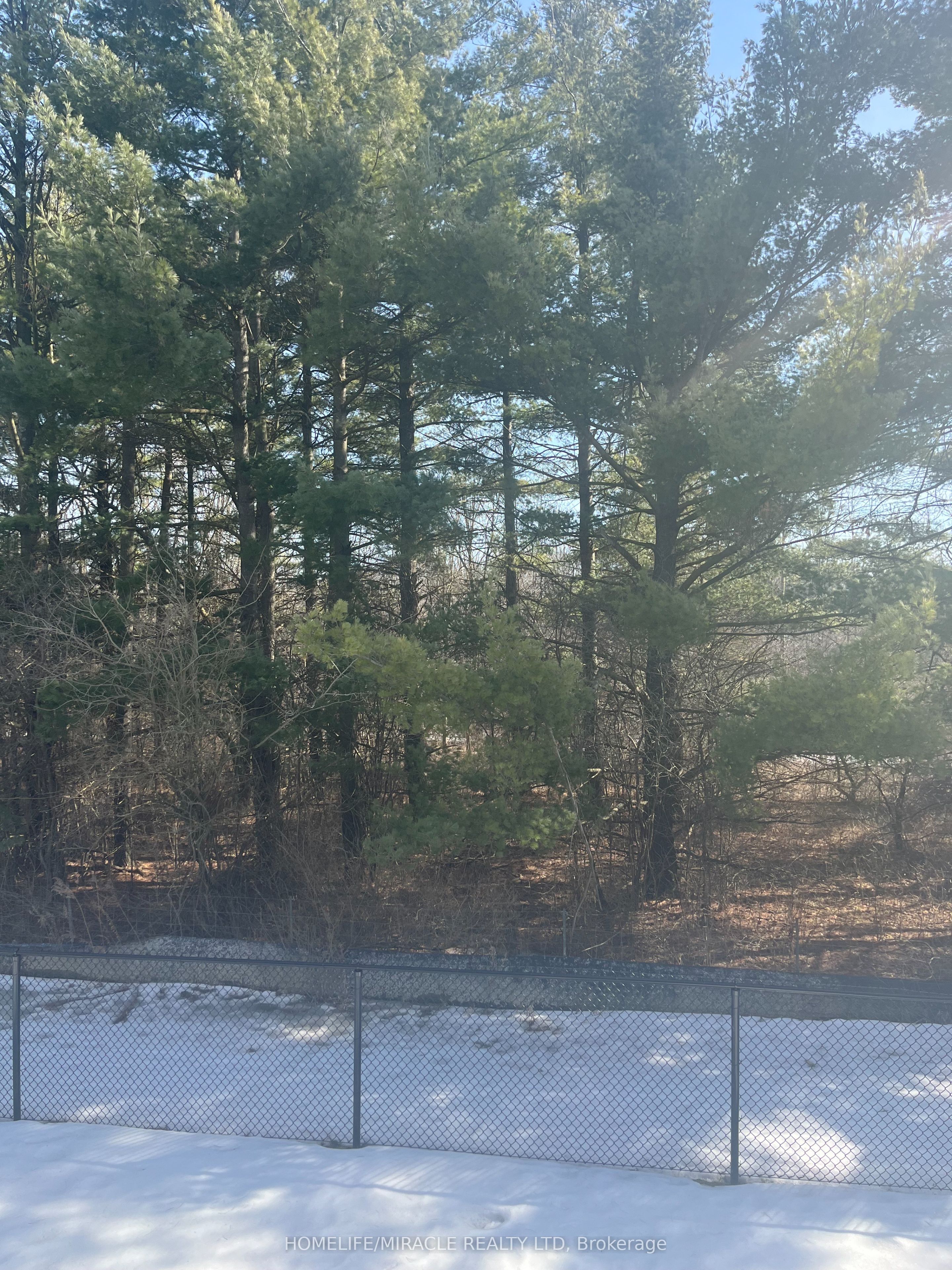 49 Stauffer Road Property Photo 18