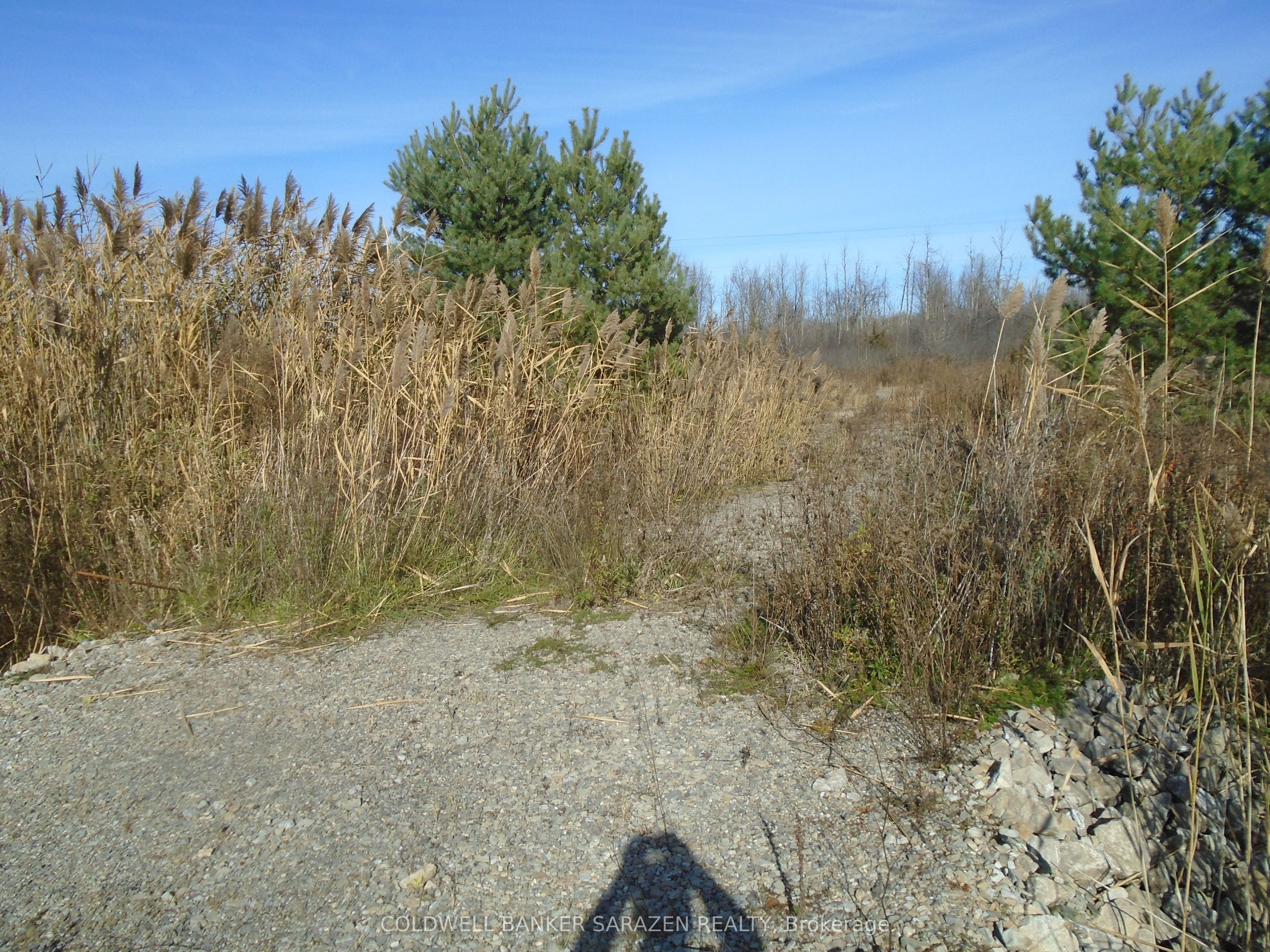 2-49 Rideau Avenue Property Photo 3