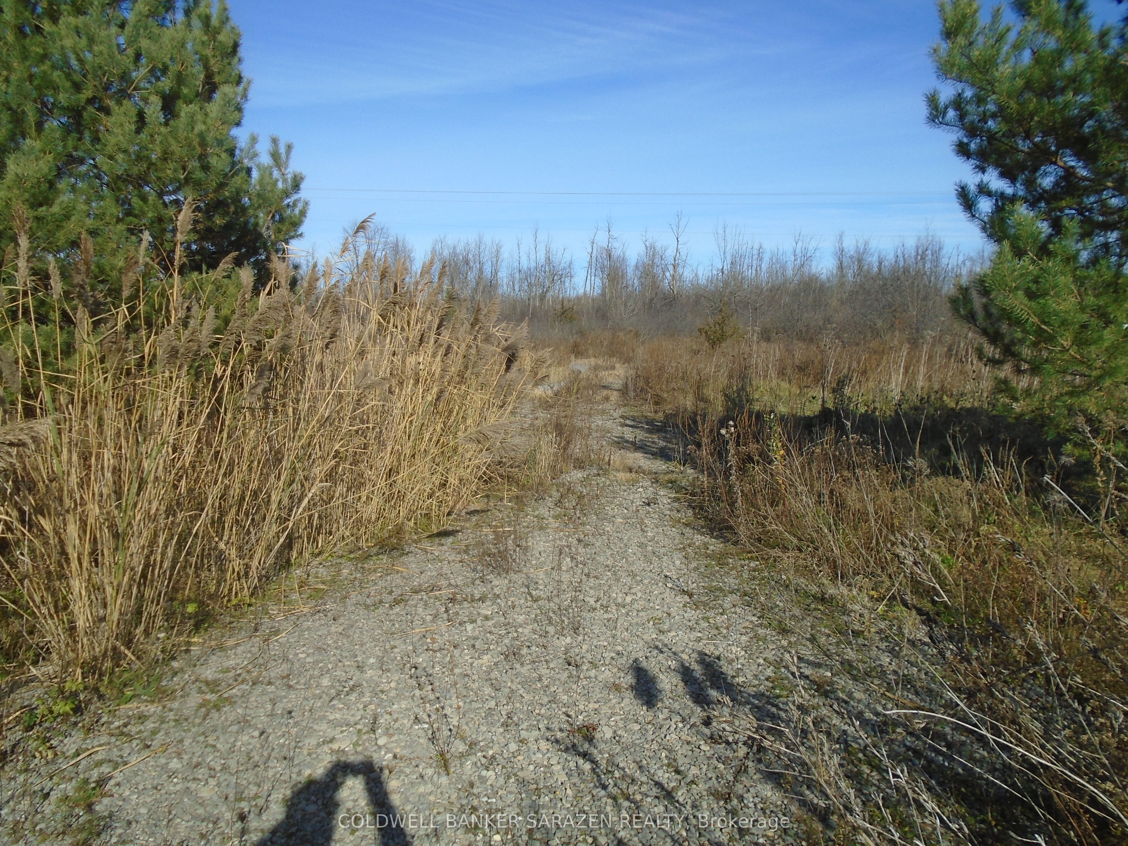 2-49 Rideau Avenue Property Photo 4