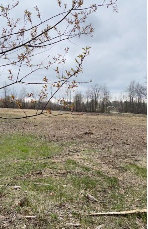 532 Otter Creek Road Property Photo 2
