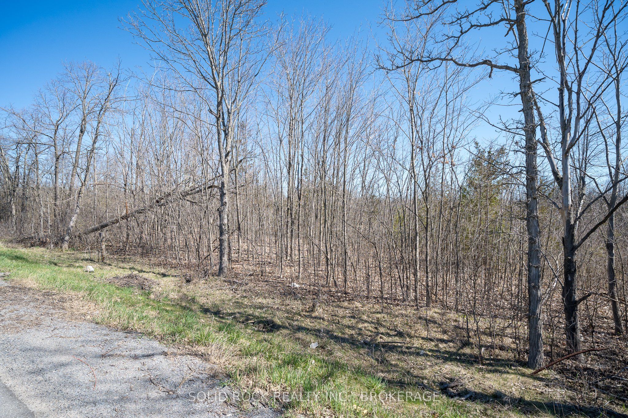Pt Lt 3 County Rd 6 Road Property Photo 18