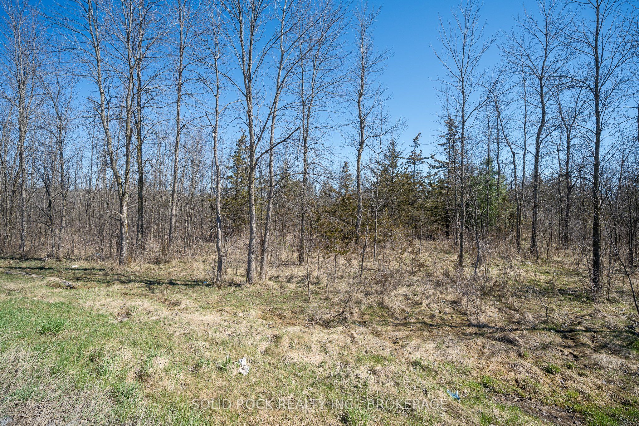 Pt Lt 3 County Rd 6 Road Property Photo 21
