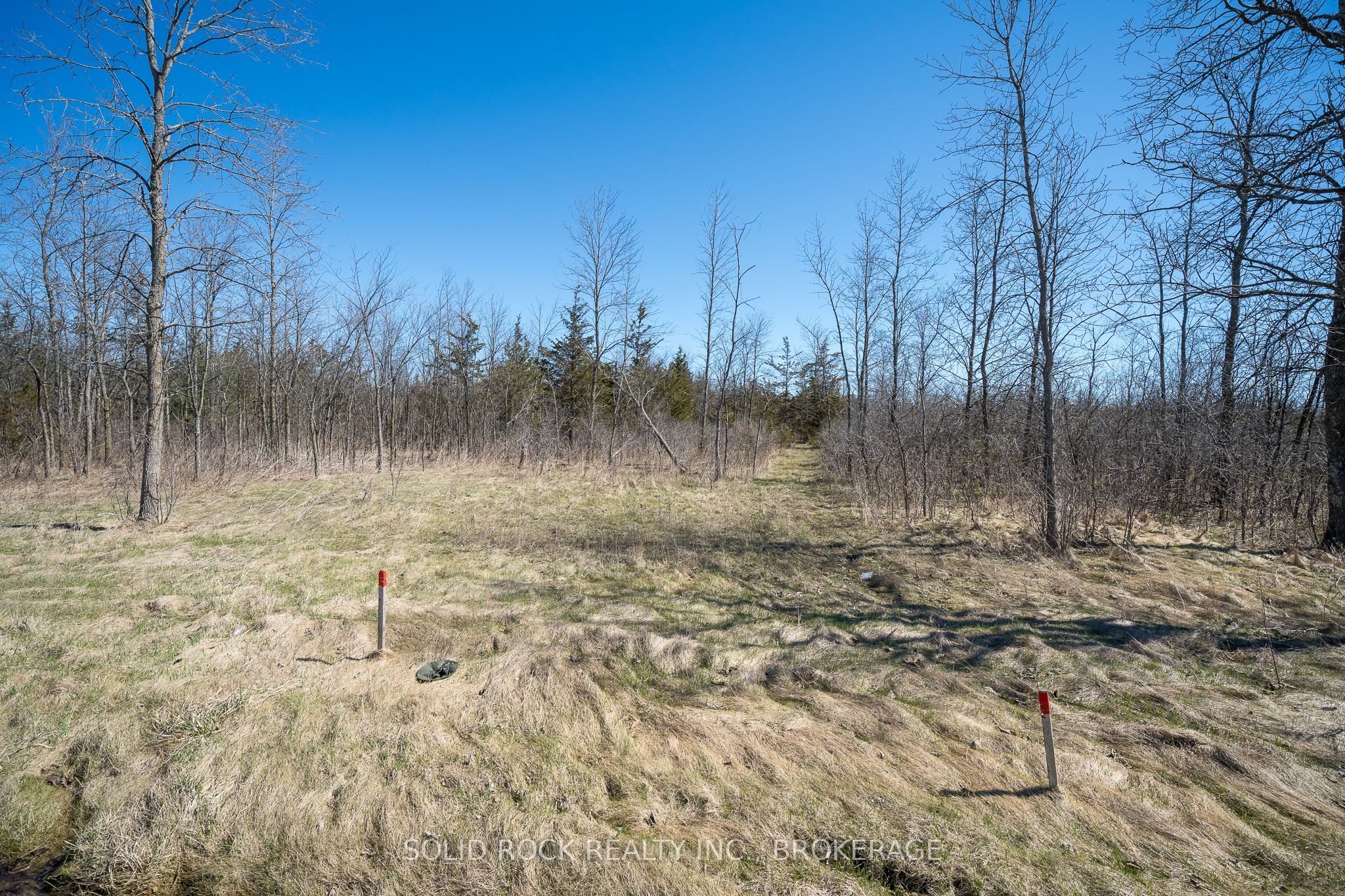 Pt Lt 3 County Rd 6 Road Property Photo 22