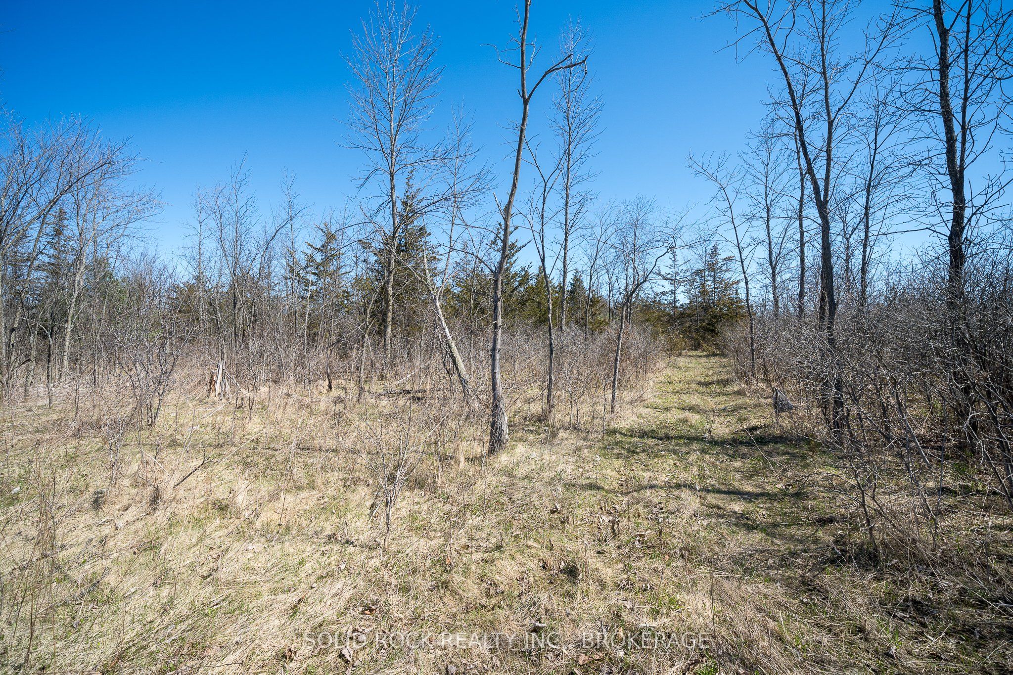 Pt Lt 3 County Rd 6 Road Property Photo 23