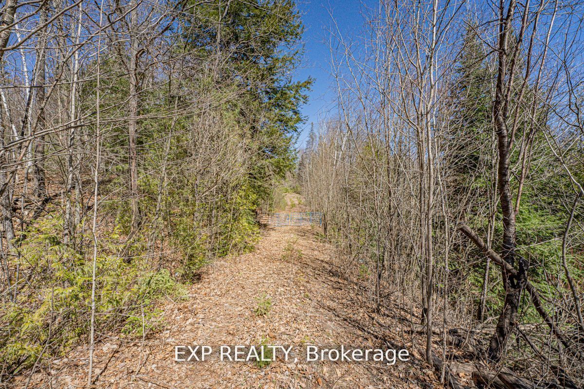 3349 Deep Bay Road Property Photo 2
