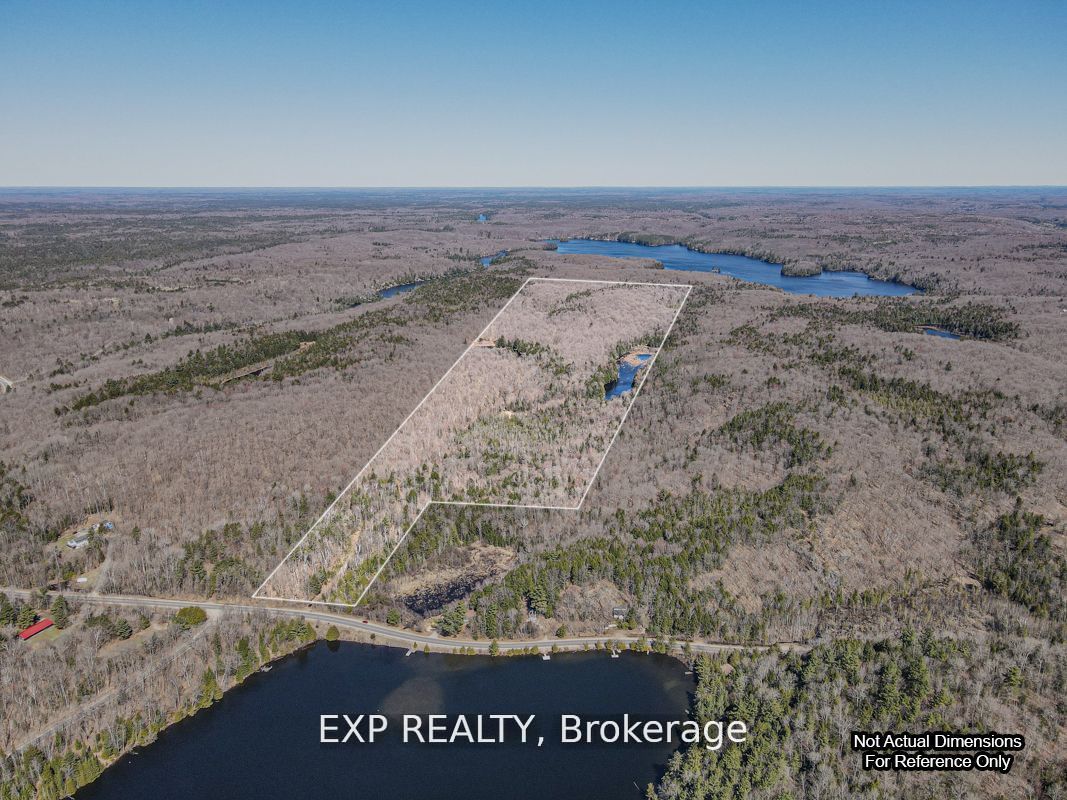 3349 Deep Bay Road Property Photo 6