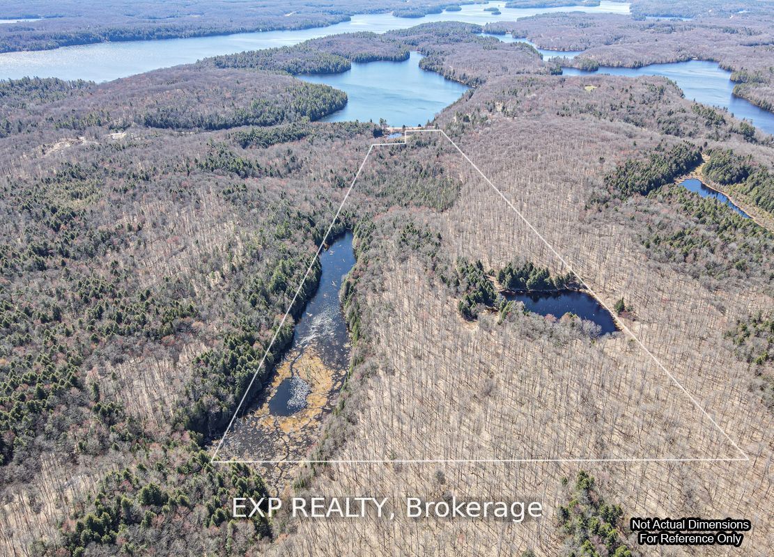 3349 Deep Bay Road Property Photo 8