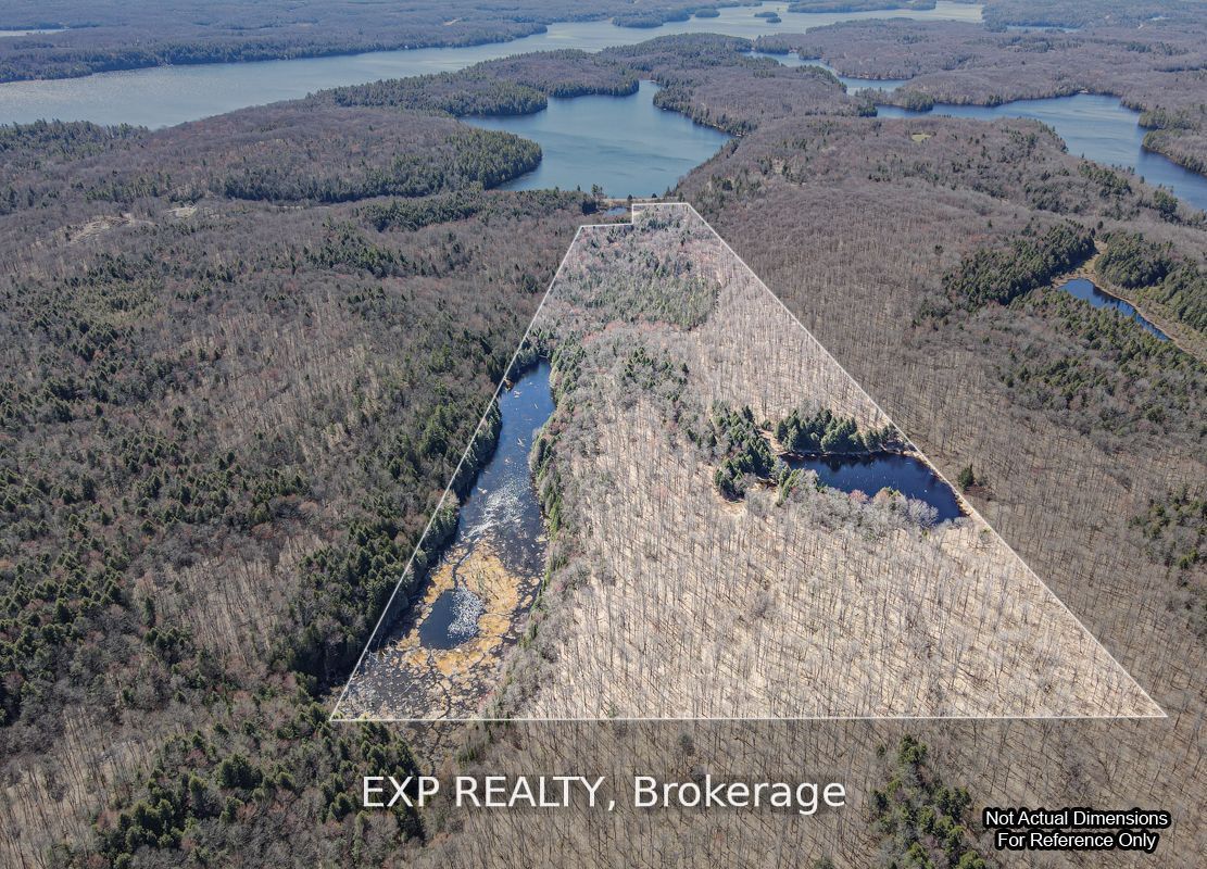 3349 Deep Bay Road Property Photo 9
