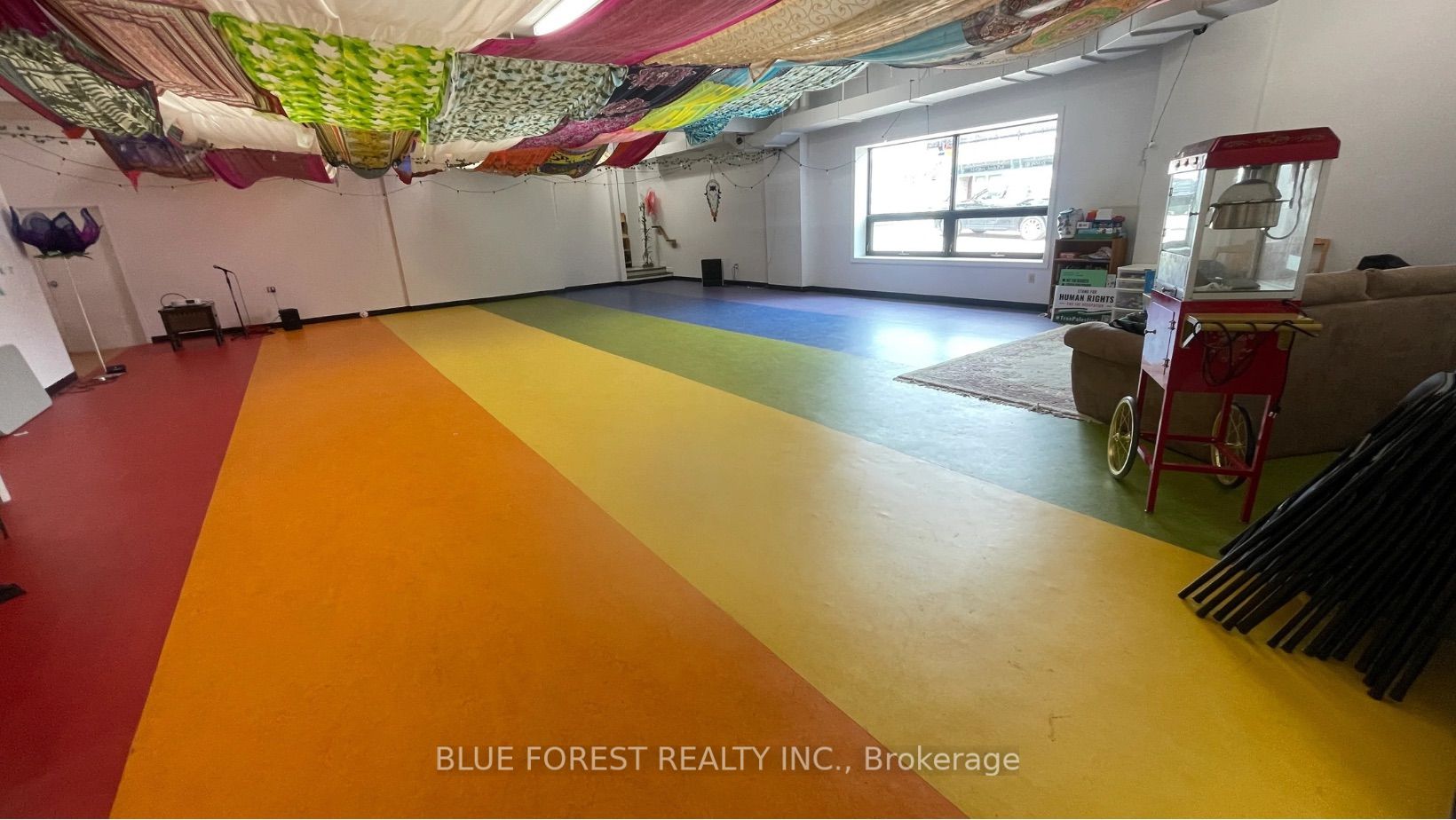 206 Piccadilly Street Property Photo 4